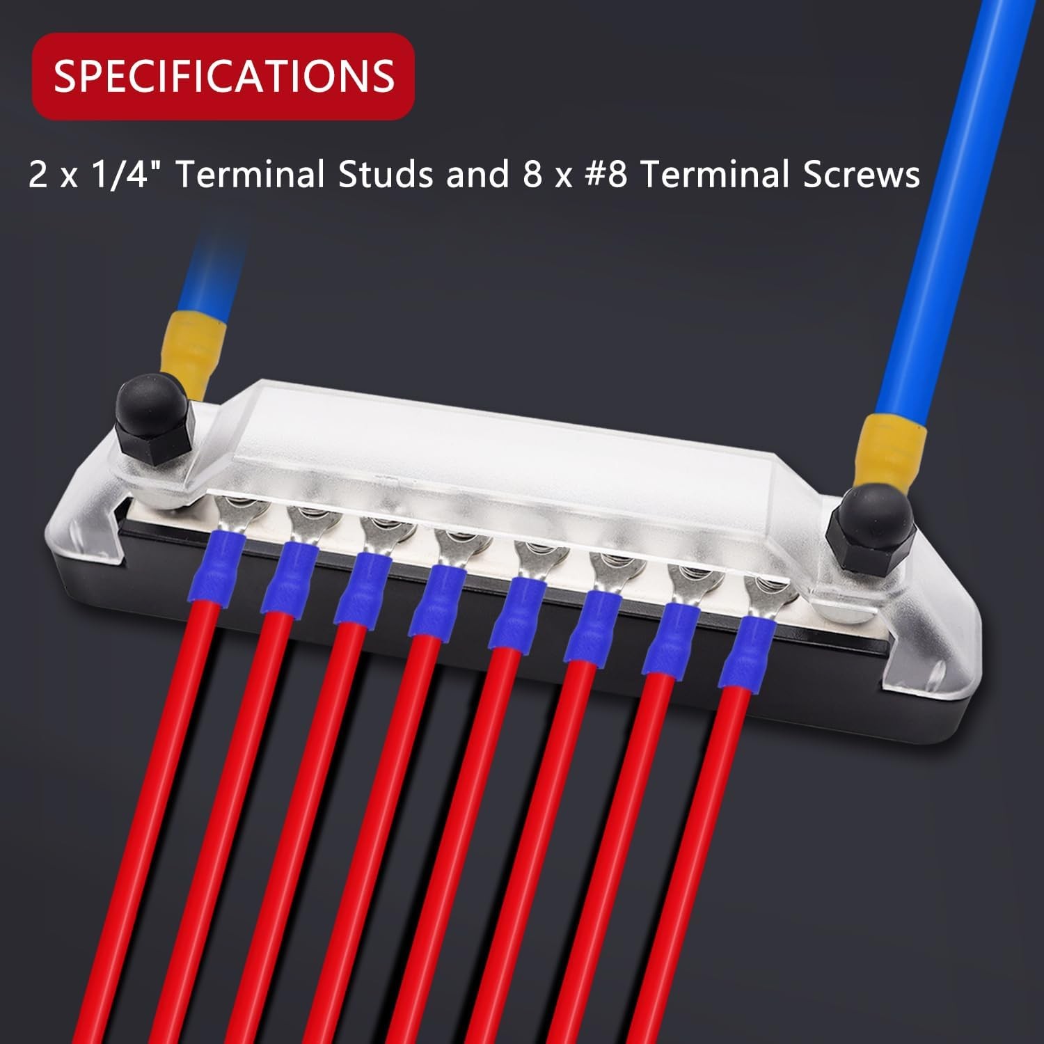 150A 12V Bus Bar Marine, 1/4″ Power 150A, 2 x M6 Studs & 8 x M4 Screws(BK+R)