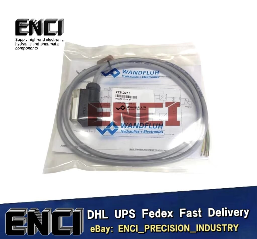 P02A01D24 726.2711 Wandfluh Electronic Proportional Amplifier