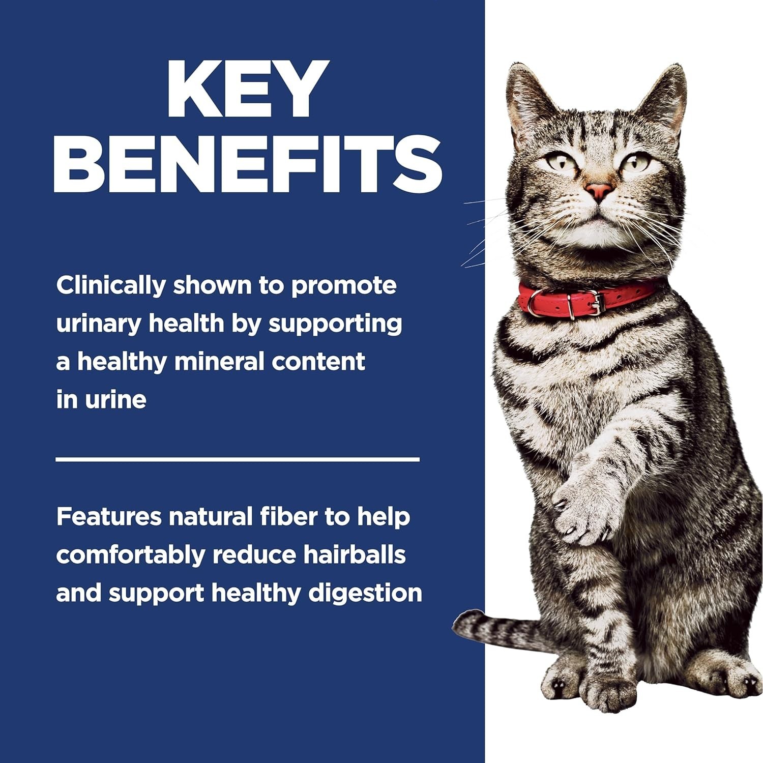 Hill’s Science Diet Adult Dry Cat for Urinary & Hairball Control – Chicken 7lb