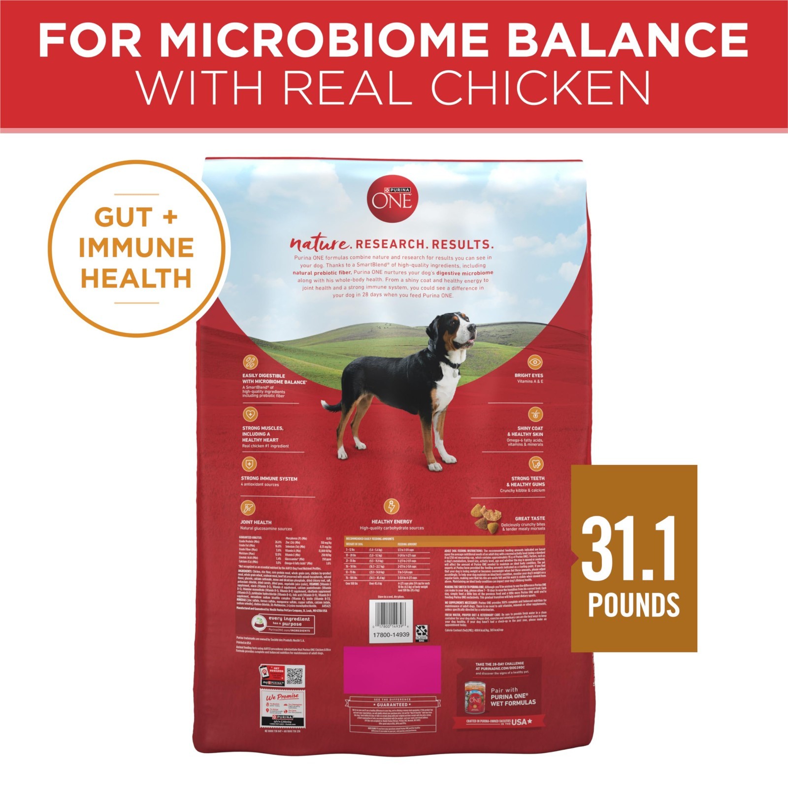 Purina ONE Chicken and Rice Formula Dry Dog Food – 31.1 lb. Bag