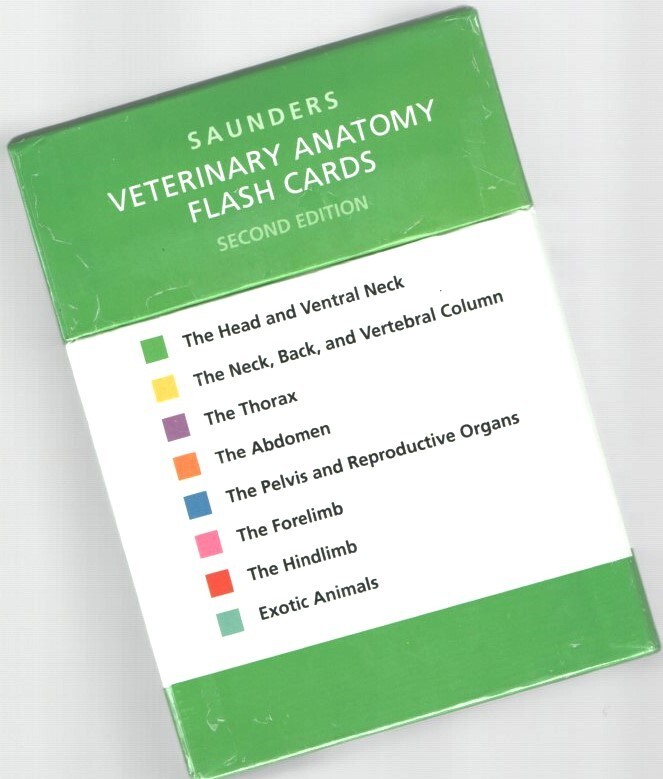 Canine + Feline Veterinary Anatomy Flashcard Set LFA # 2026 Dog Cat Horse