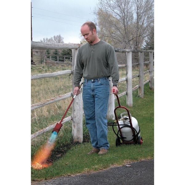 Flame Engineering Vt3-30Cs Vapor Torch Kit, Red Dragon, 500K Btu