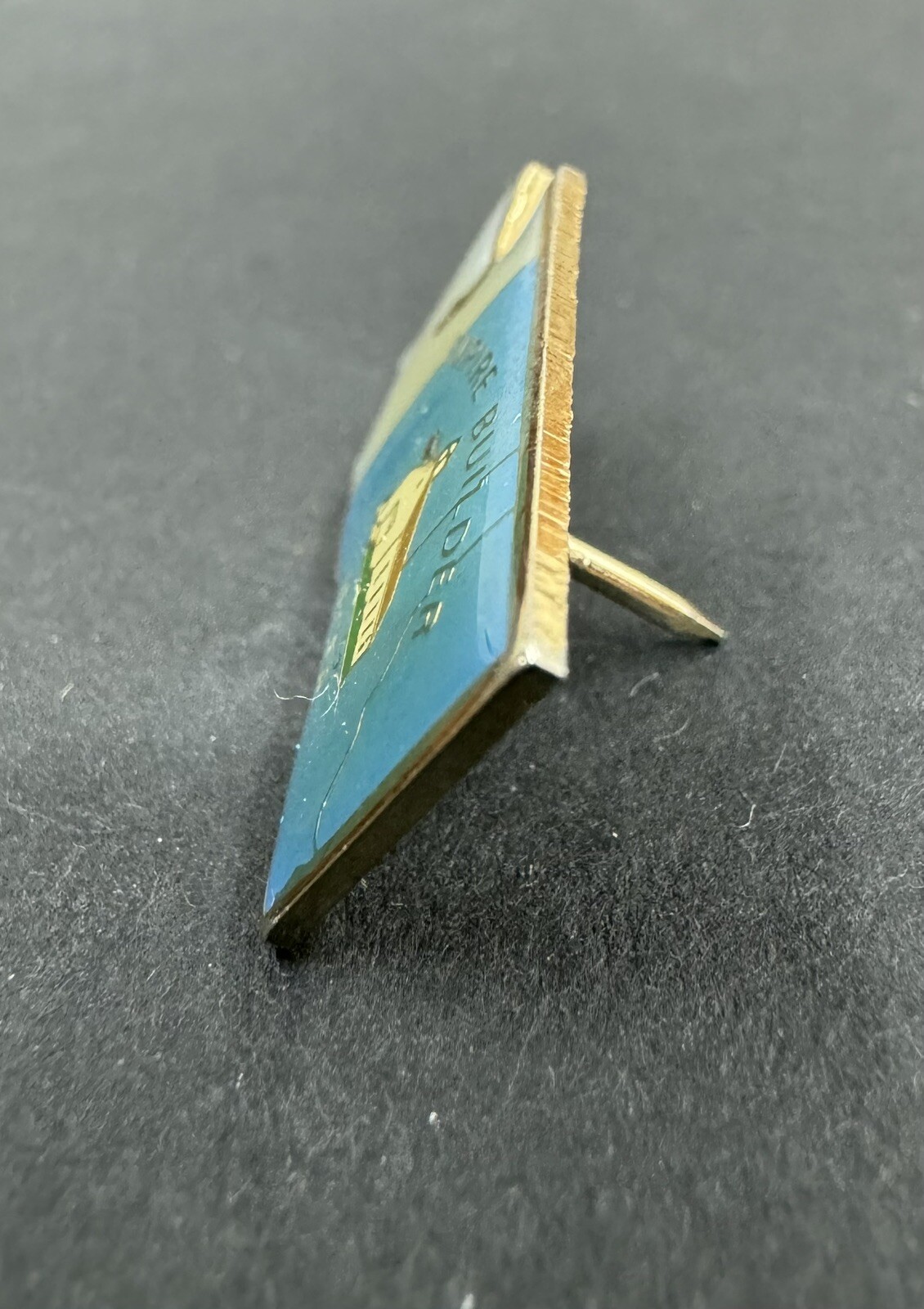 Vintage Pin Washington State Empire Builder IECEA White & Blue