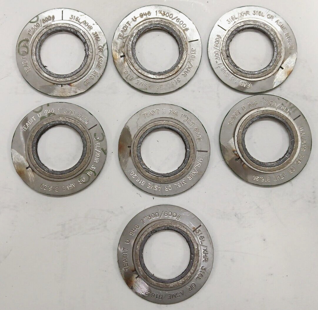 TEADIT GASKET U 946 1″ 300/600# 316L/XHR 316L OR ASME B16.20 LOT OF 7