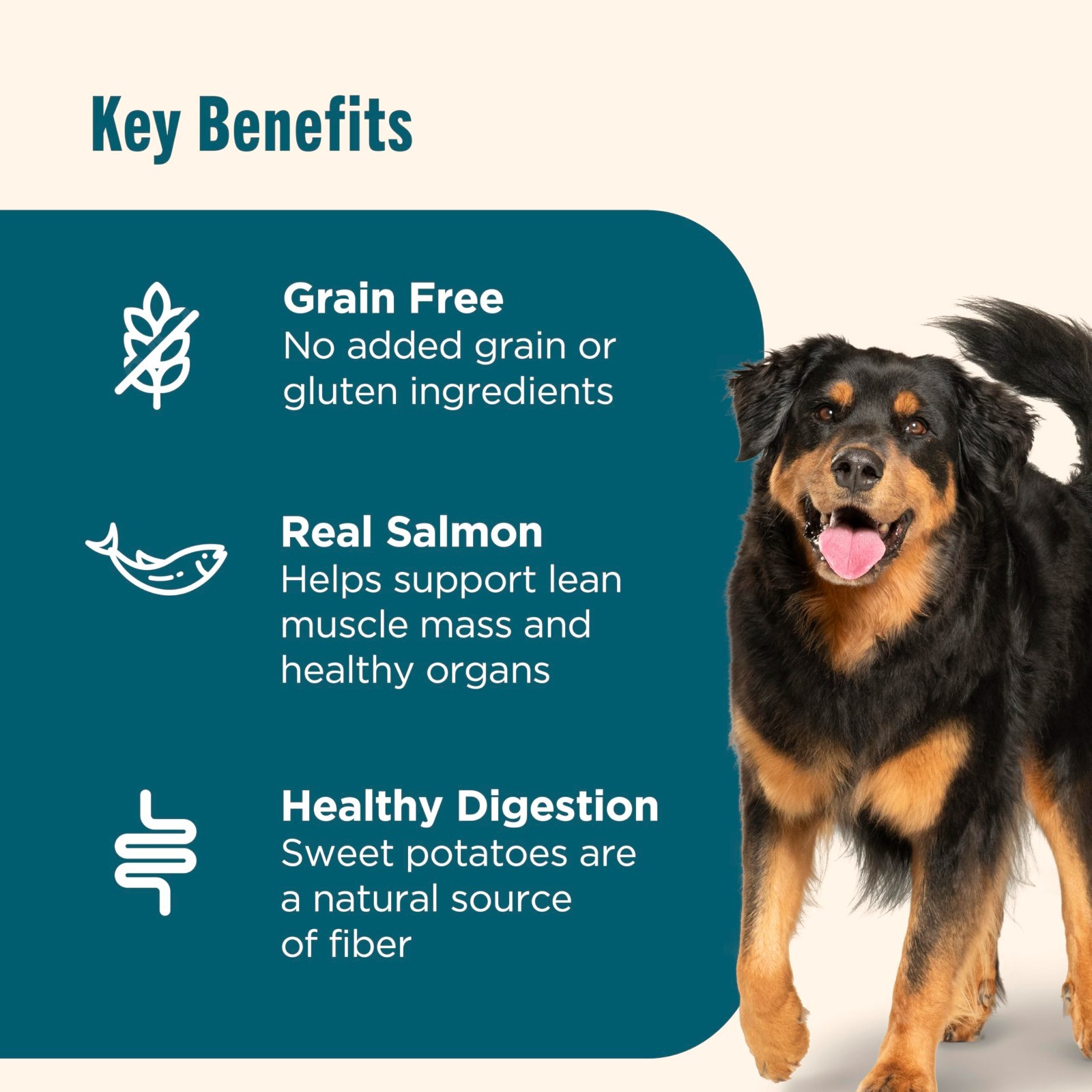 Nutrish Grain Free Dry Dog Food, Salmon & Sweet Potato Recipe, 23 lb. Bag