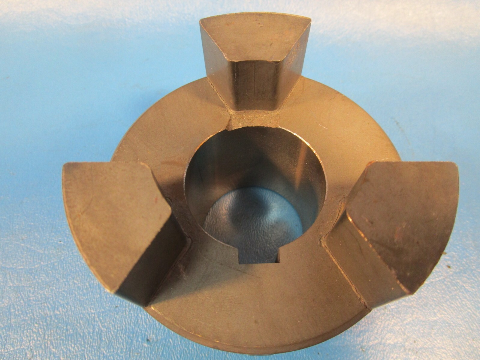 Woods L110 38mm Bore, Jaw Coupling, 38mm Hub