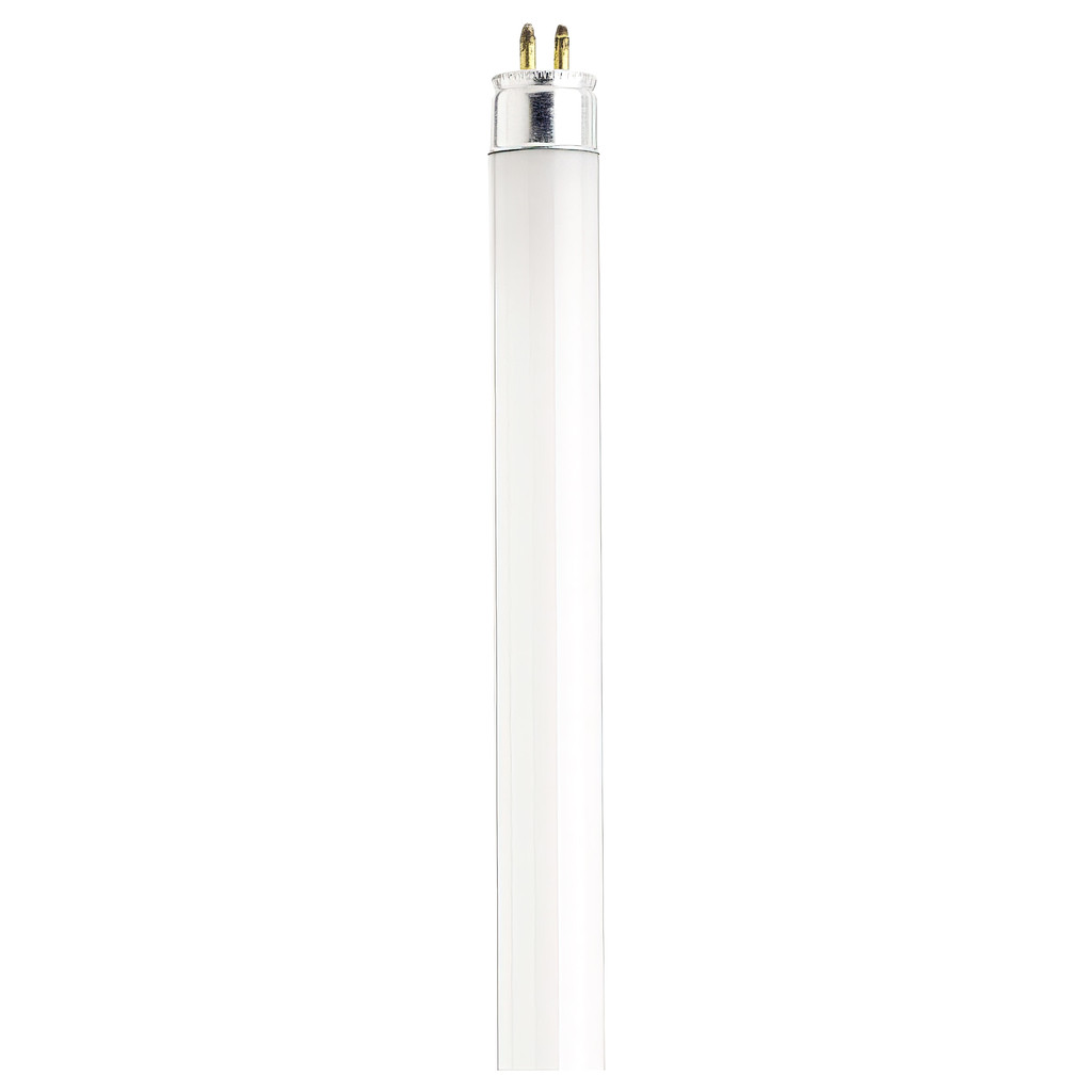 Satco S1904 8W T5 4000K Cool White Fluorescent Bulb