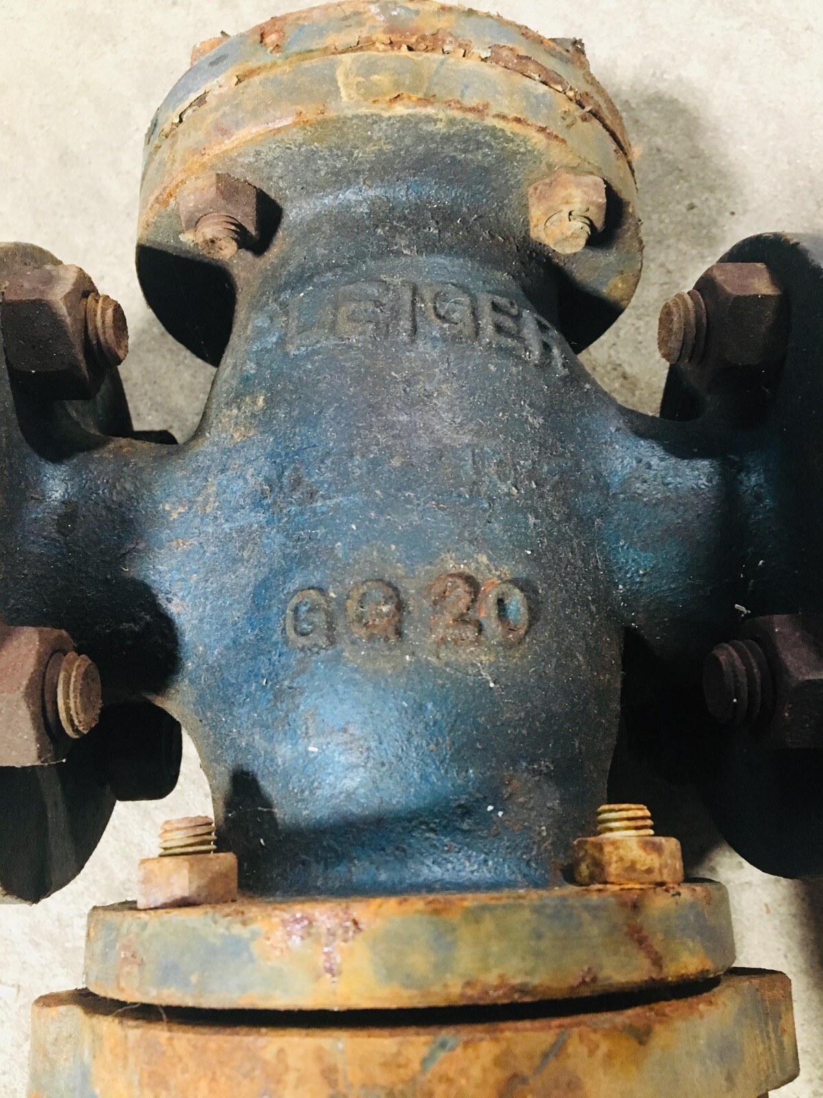 PLEIGER GG20 DN25 PN 16 Actuated Globe Valve
