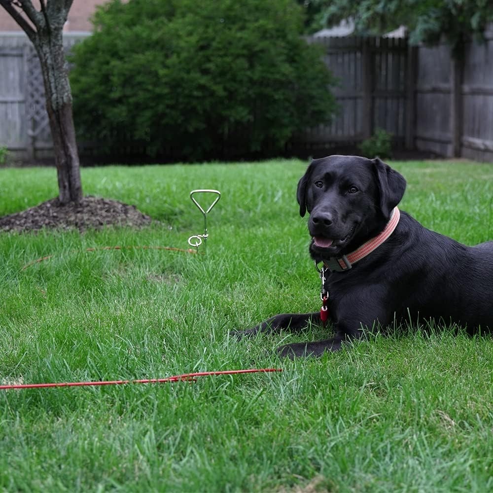 Dog Tie Out Cable 30 Feet – Heavy Duty Dog Lead up to 125 Pounds – Reflective &
