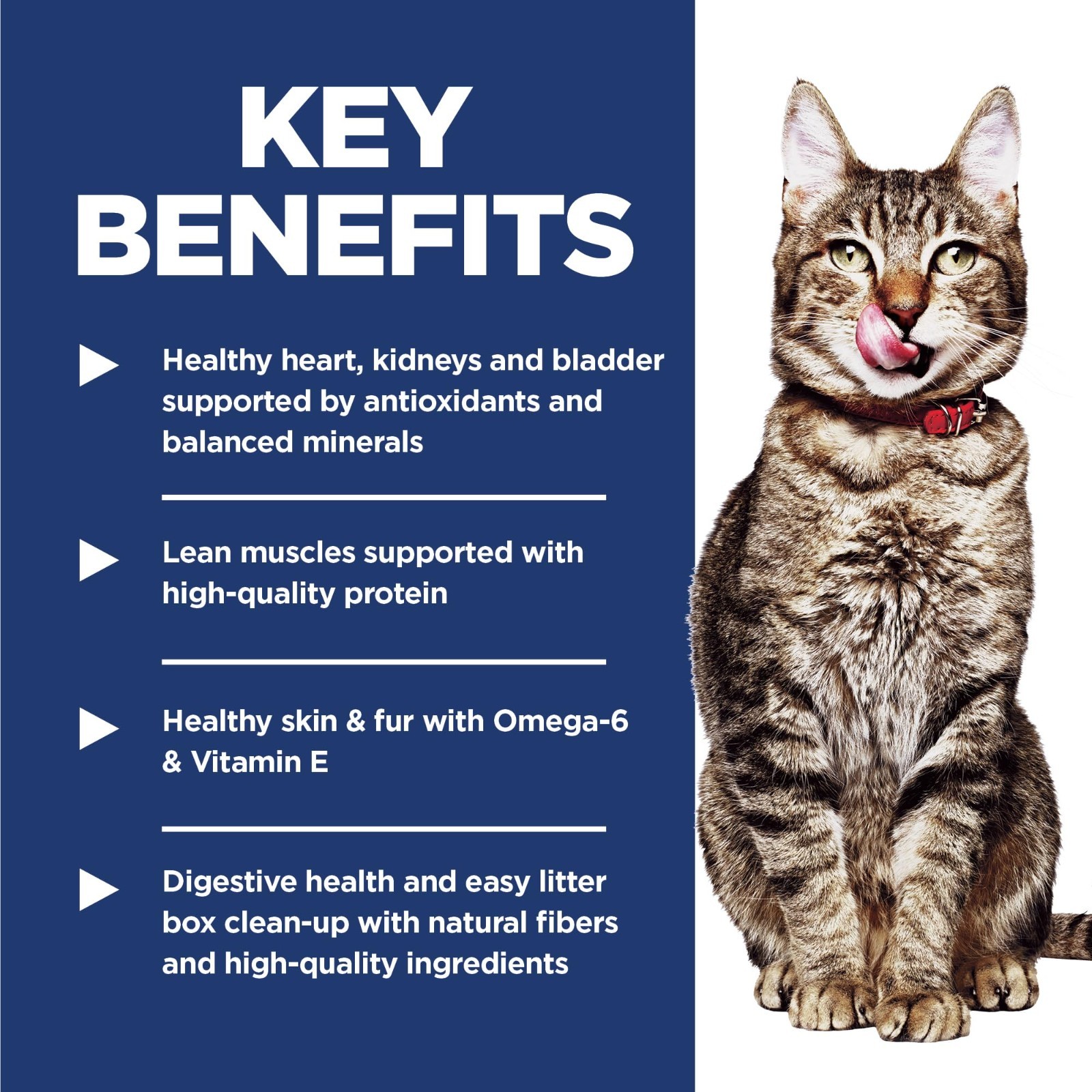 Hill’s Science Diet Adult 7+ Indoor Dry Cat Food, Chicken, 15.5 lb. Bag