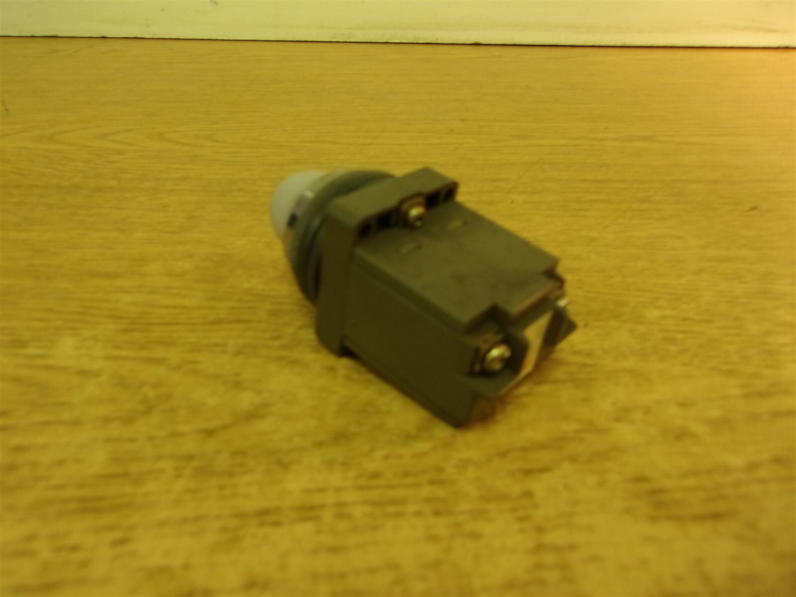 Izumi 200/220V Pilot Light Switch White *FREE SHIPPING*