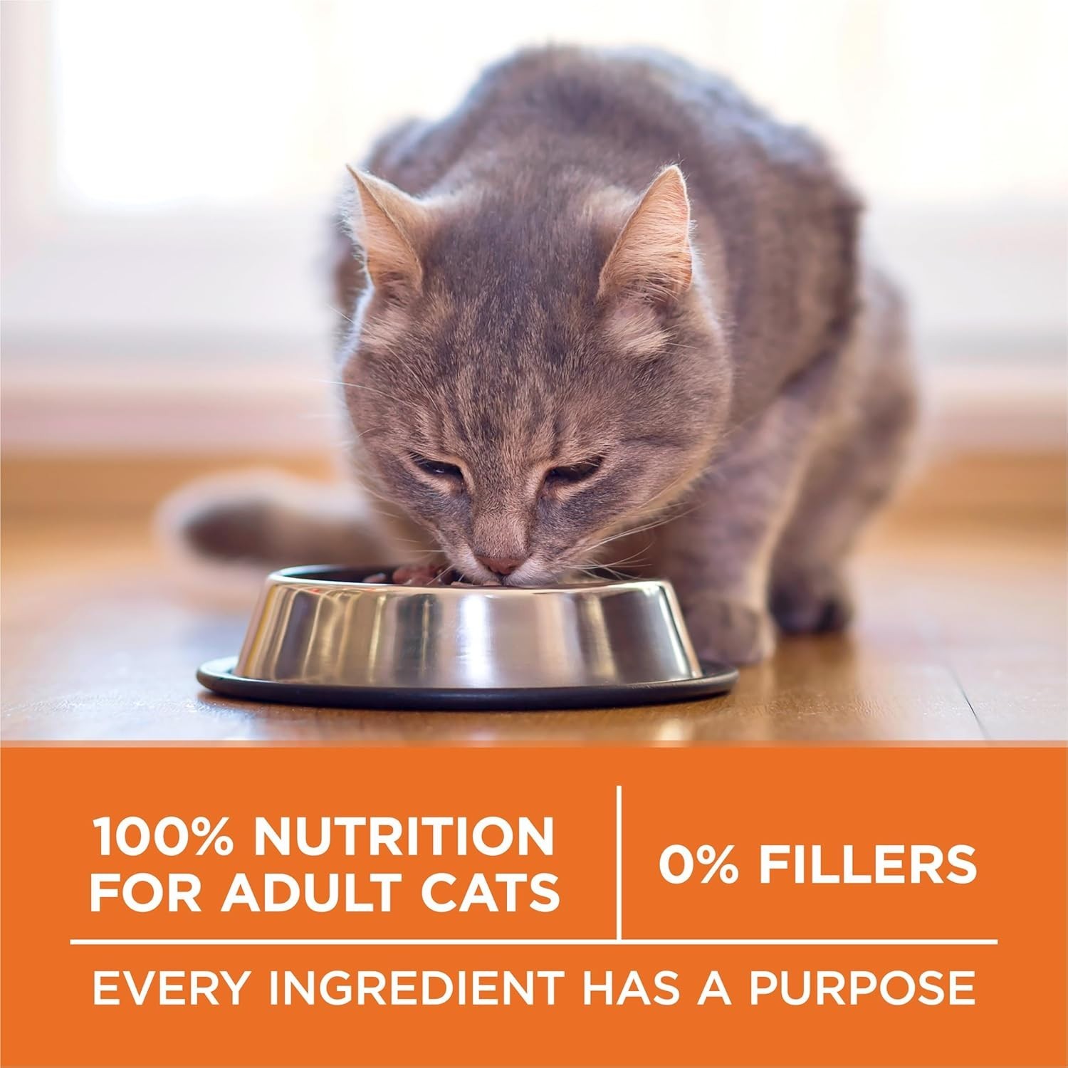 2PK Purina ONE +Plus Ideal Weight Adult Cat Dry Food – Turkey, High-Protein,16lb