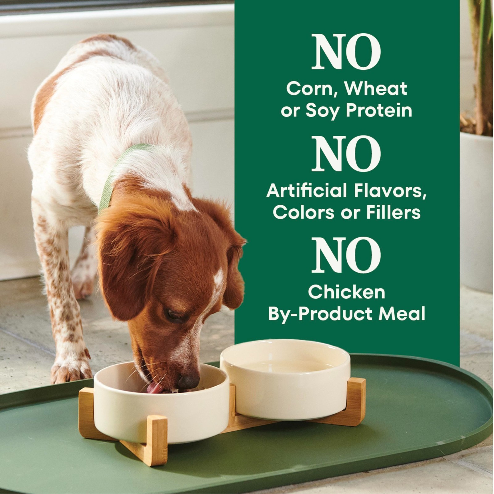 Nutro Natural Choice Small Bites Dry Dog Food, Adult Dog Food Dry Chicken, 30 lb