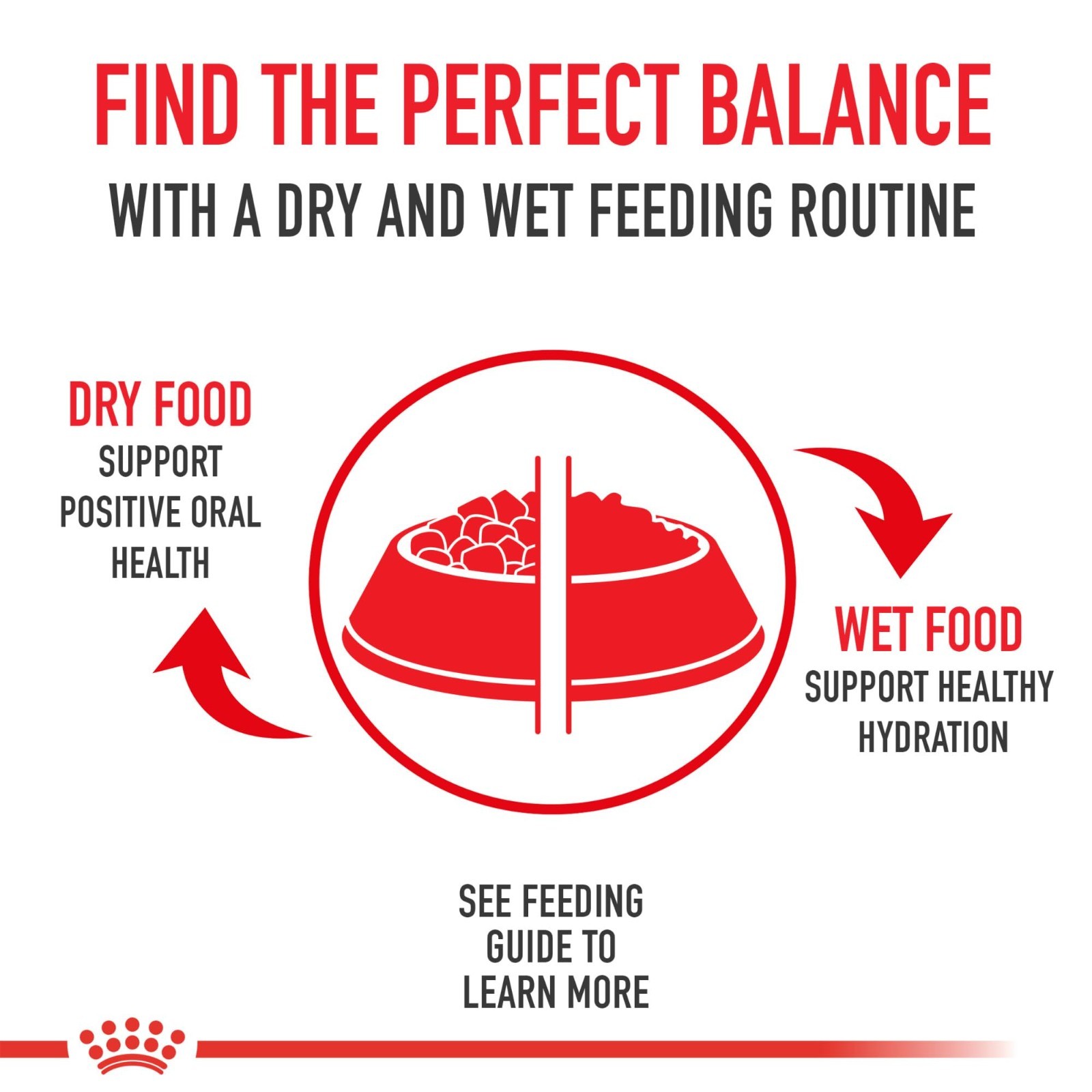 Royal Canin Feline Health Nutrition Kitten Dry Cat Food, 14 lb Bag
