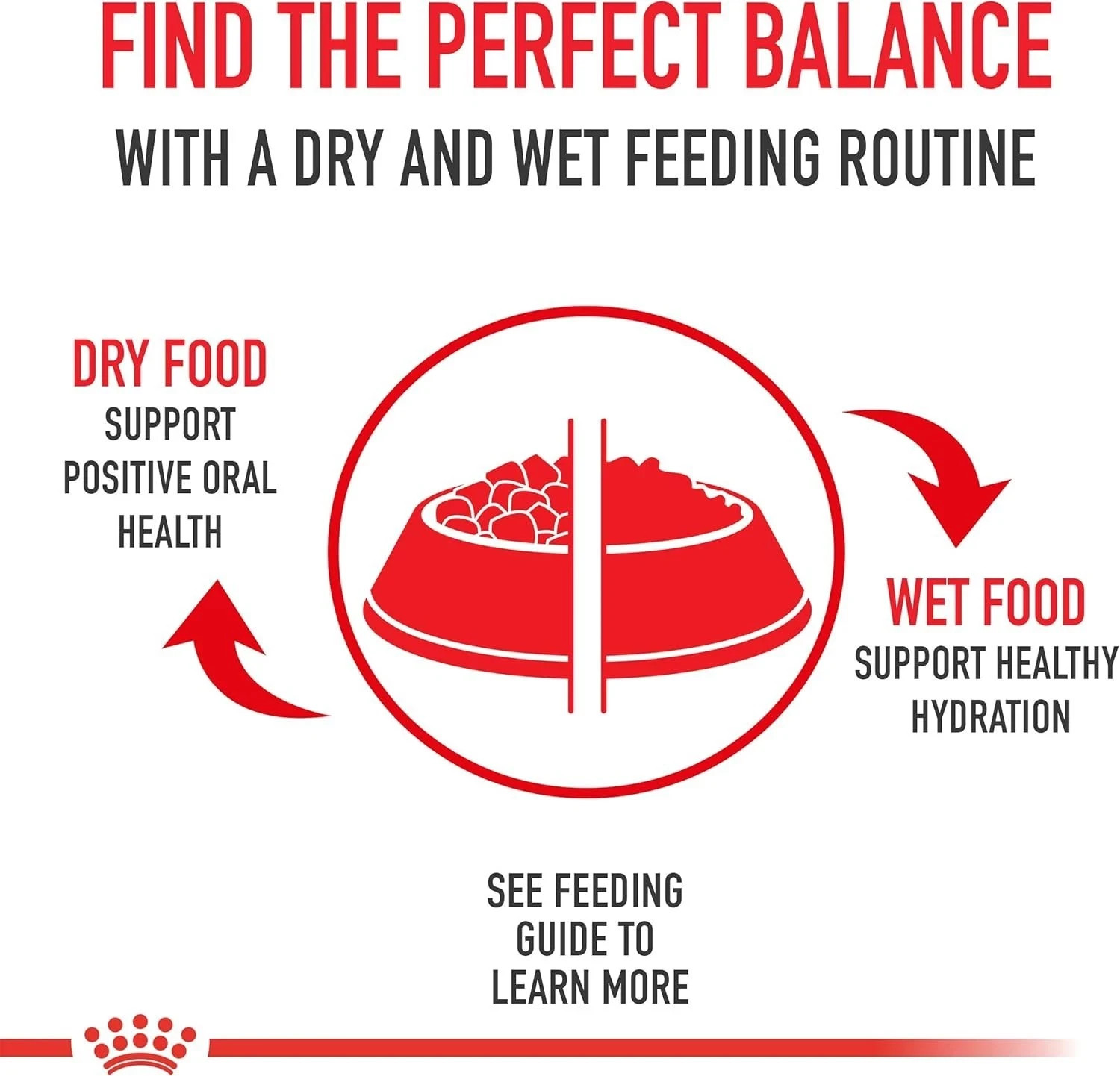 Royal Canin Yorkshire Terrier Adult Loaf Dog Food, 3 oz x 24 Cans