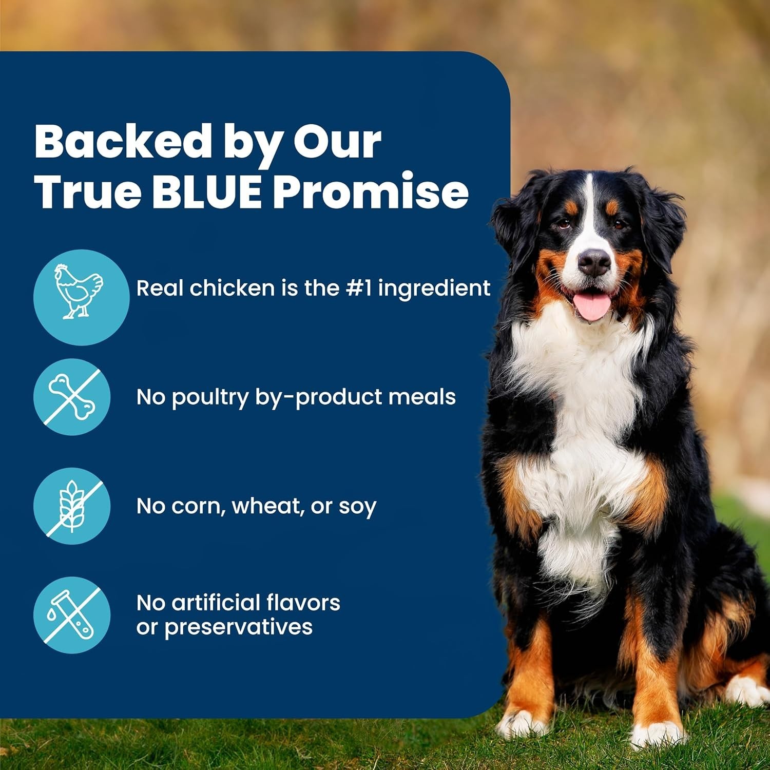 Blue Buffalo Life Protection Formula Adult Dry Dog Food, Chicken&Brown Rice,30lb