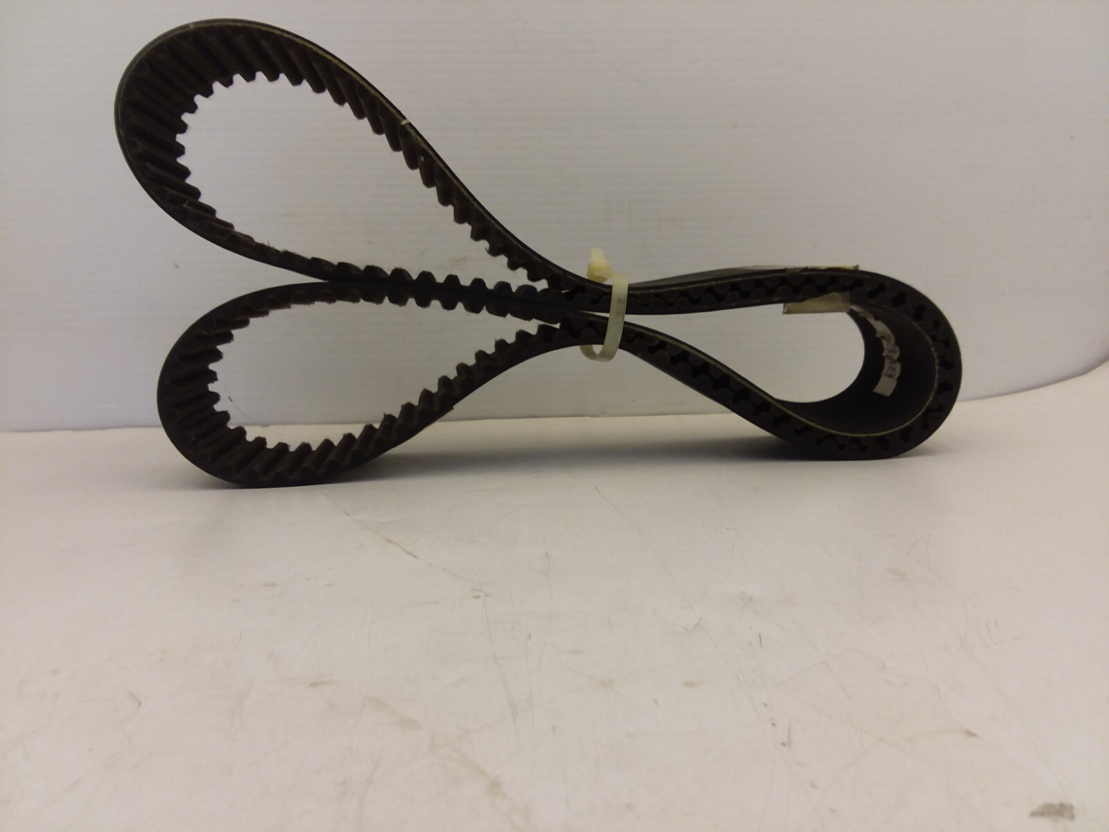 CONTINENTAL STD-1160-S8M-CXA CONTITECH TIMING BELT 1160MM 8MM 50MM 145 TEETH NNB