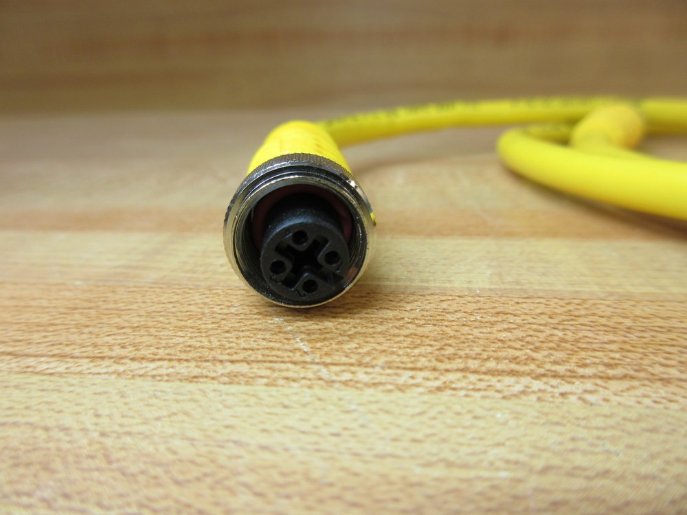 Turck RKC 4.4T-10-RSC 4.4T RKC44T10RSC44T Cable Overall Length 41″ (Pack of 2)