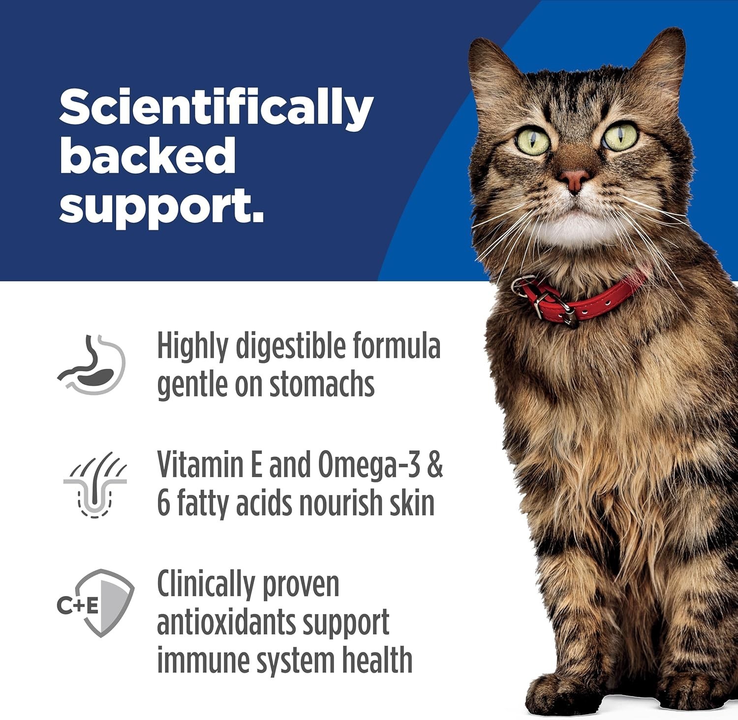 Hill’s Science Diet Sensitive Stomach Salmon & Tuna Cat Food 2.8oz 24ct