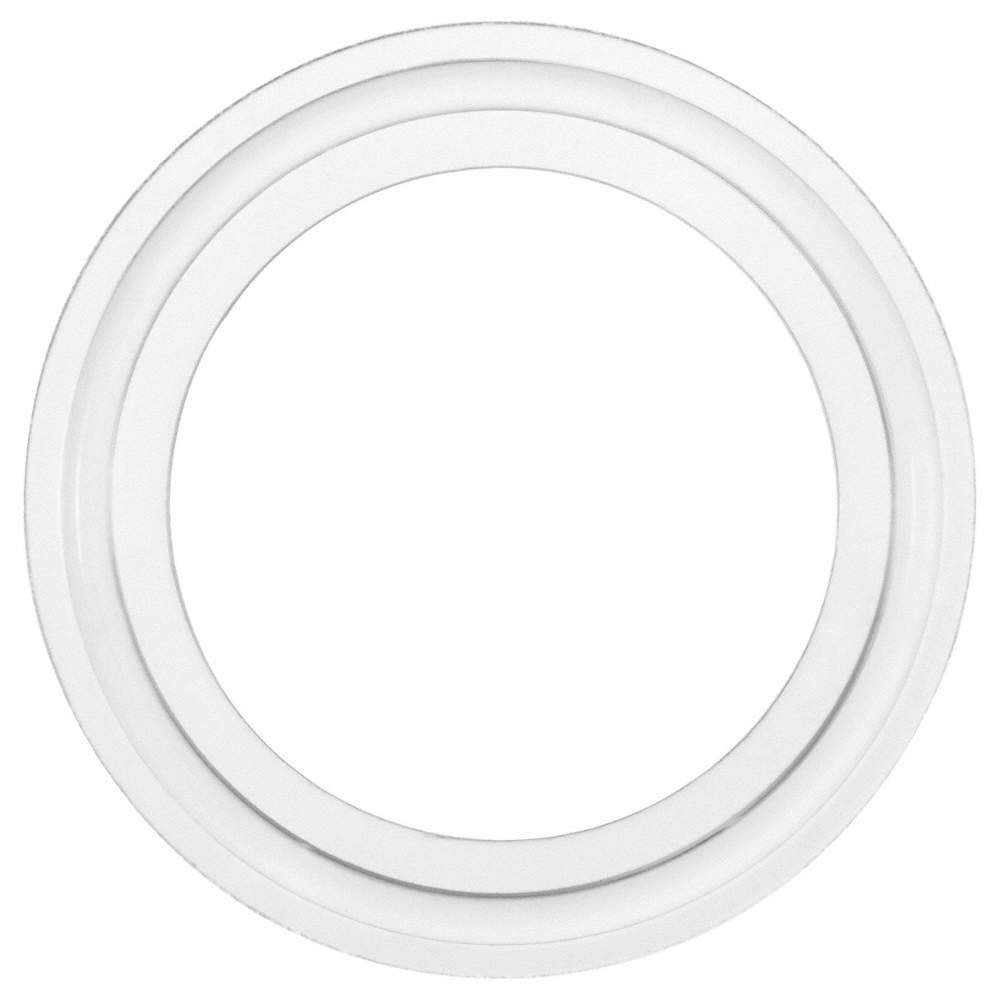 GRAINGER APPROVED Sanitary Gasket,Clear,0.2 in Thickness 810LC9