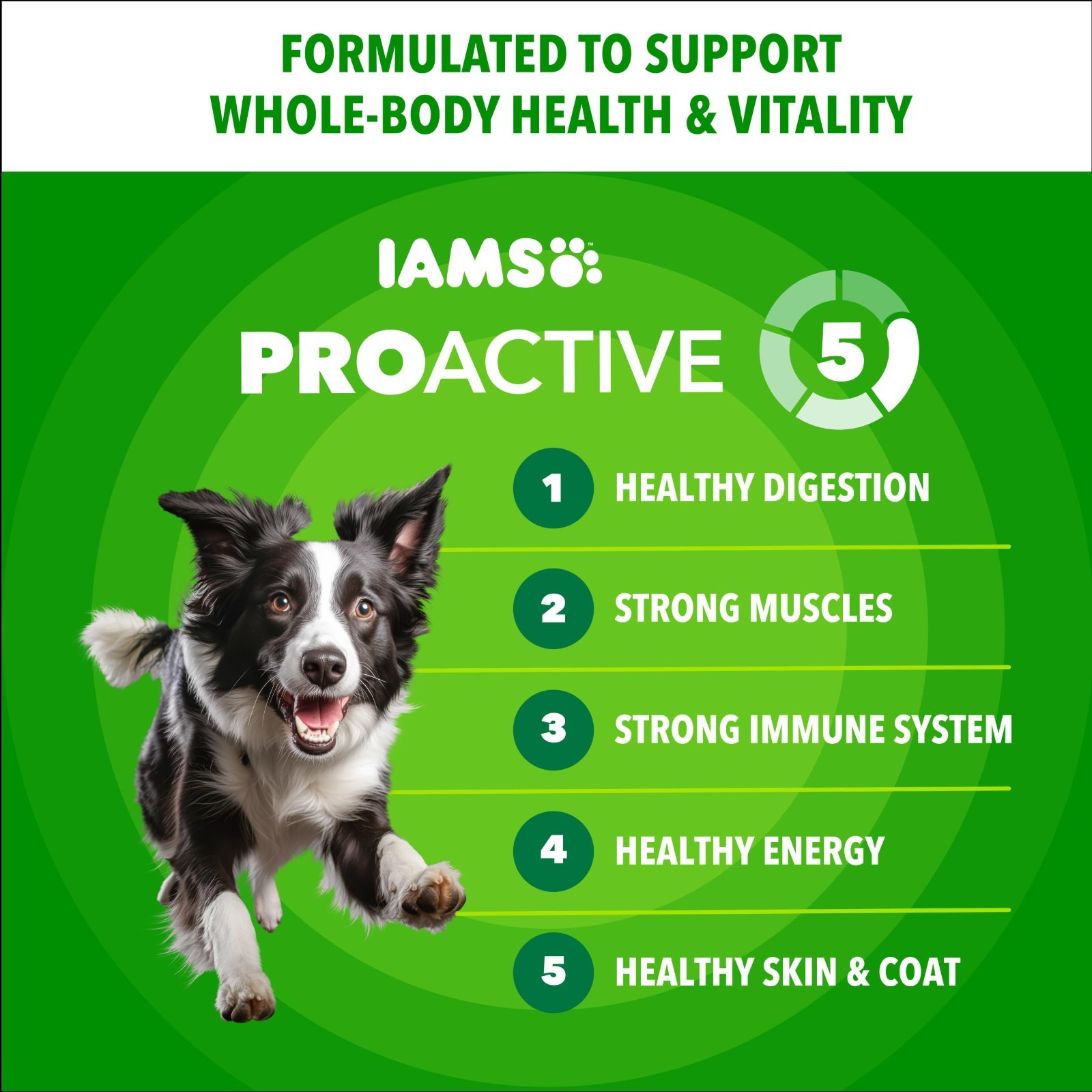 IAMS Proactive Health Adult Minichunks Premium Dry Dog Food, Adult Dog, 30 lb. B