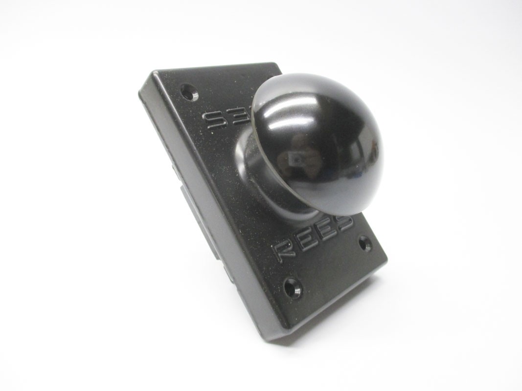 REES 00662-001 NSMP
