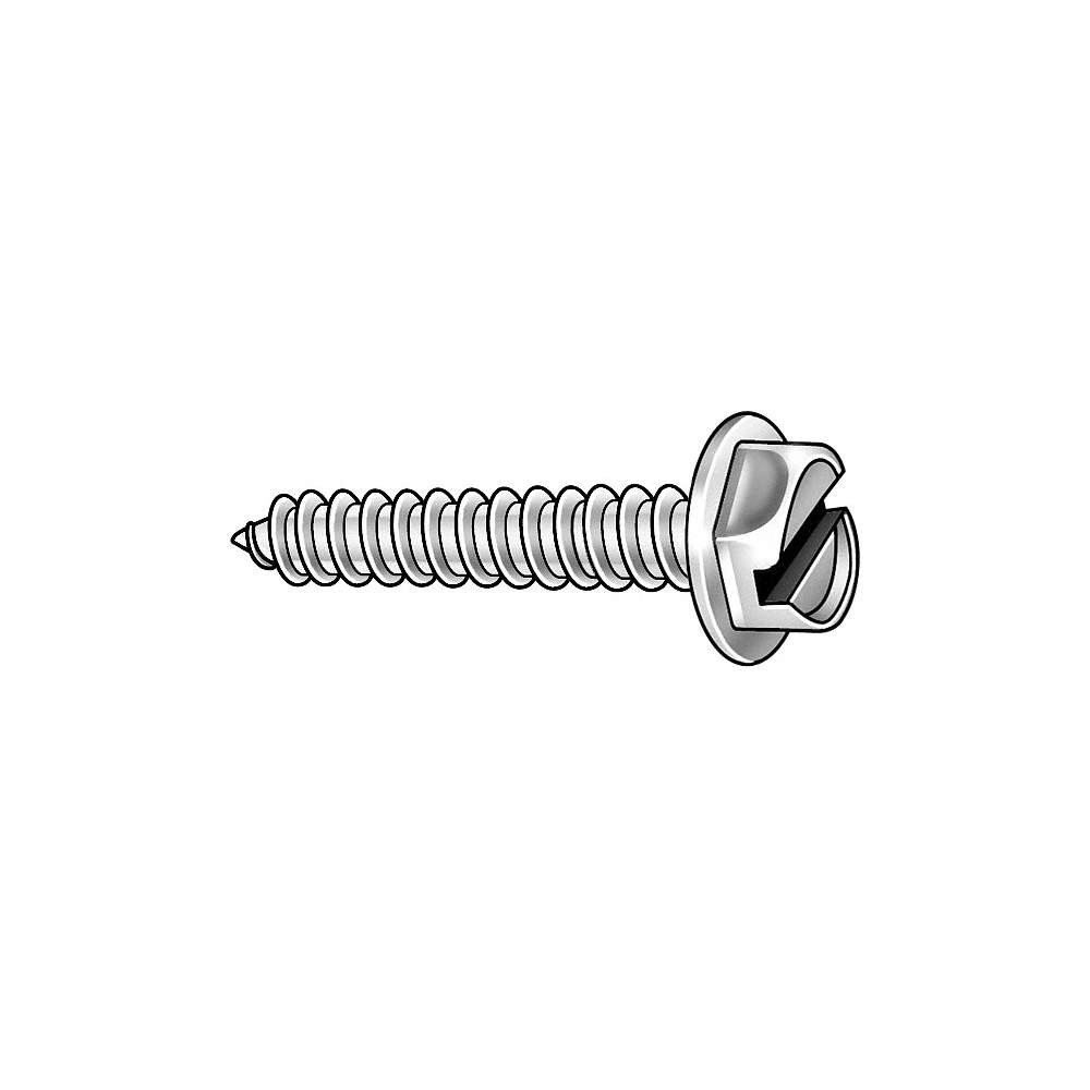 GRAINGER APPROVED U28100.013.0025 Scrw Sz #6,ZP,SLT,1/4″L,PK100 31JM72