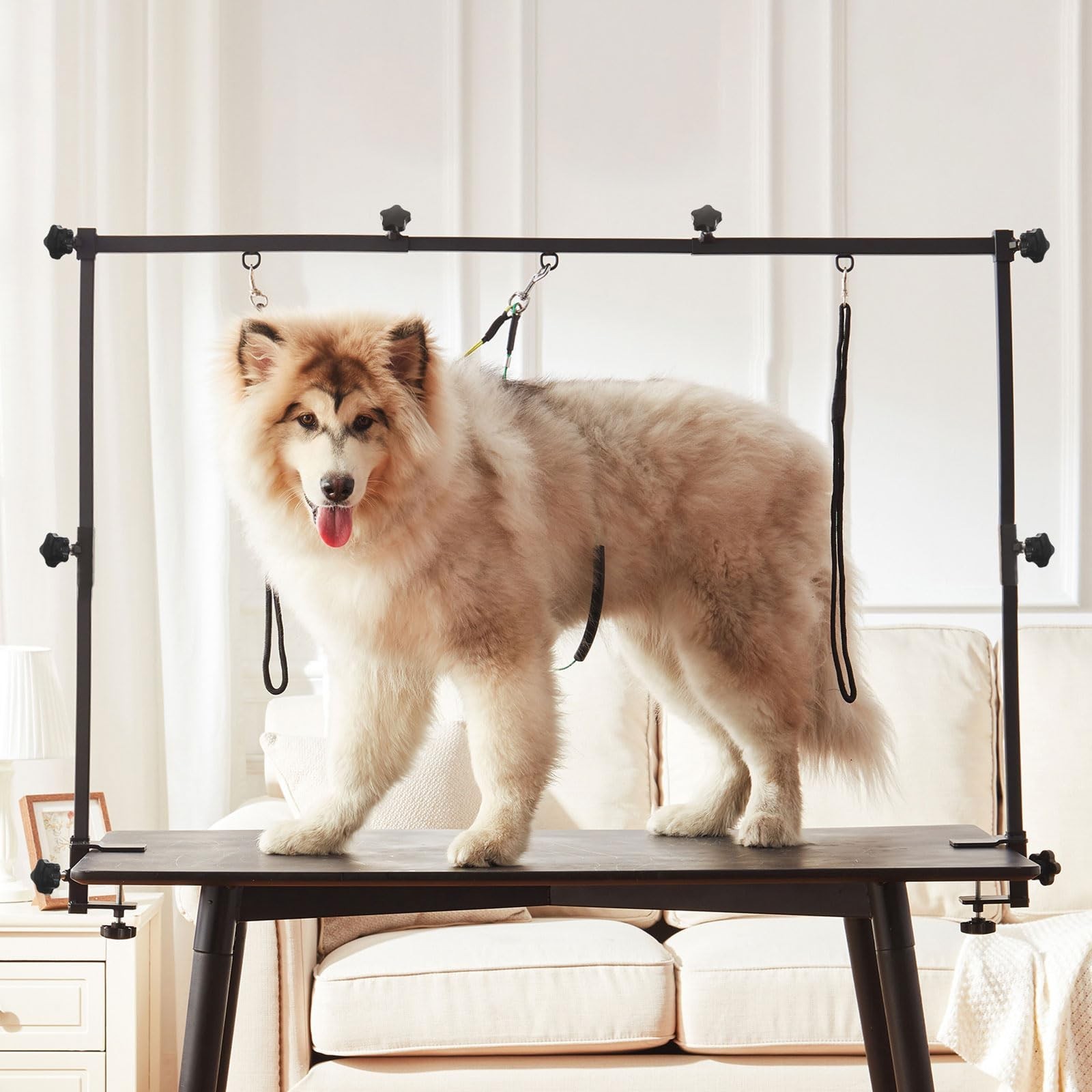 Home Dog Grooming Table Arm Adjustable 37″ Height, 35″-51″ Width Dog Grooming…