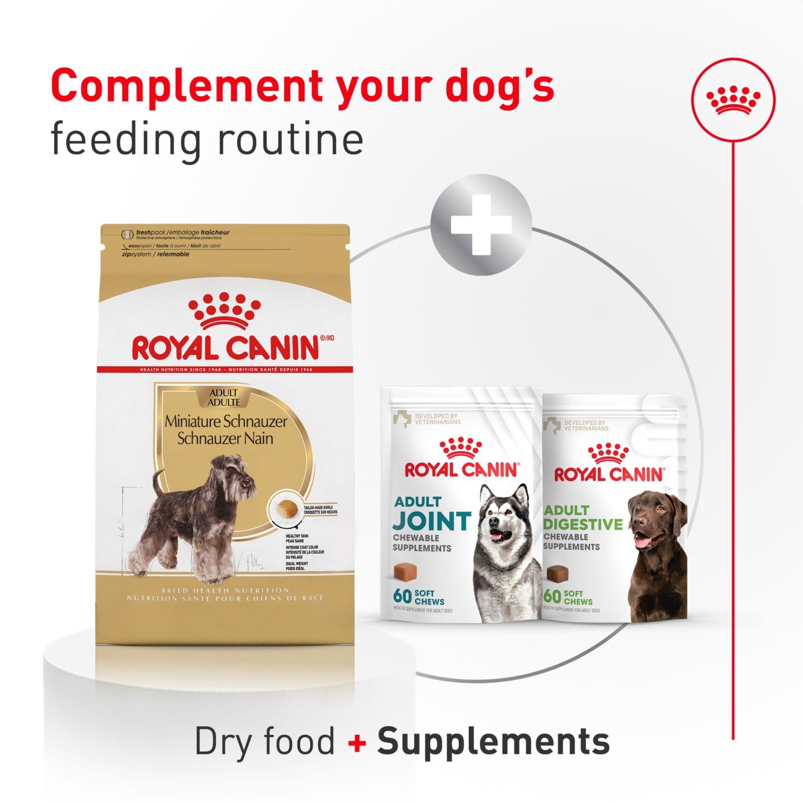 Royal Canin Breed Health Nutrition Miniature Schnauzer Adult Dry Dog Food, 10 lb