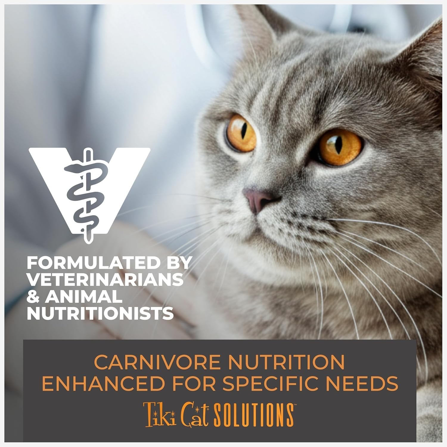 Tiki Cat® Solutions# Adult Cat Food – Light, Turkey Recipe – 5.6 lbs Bag