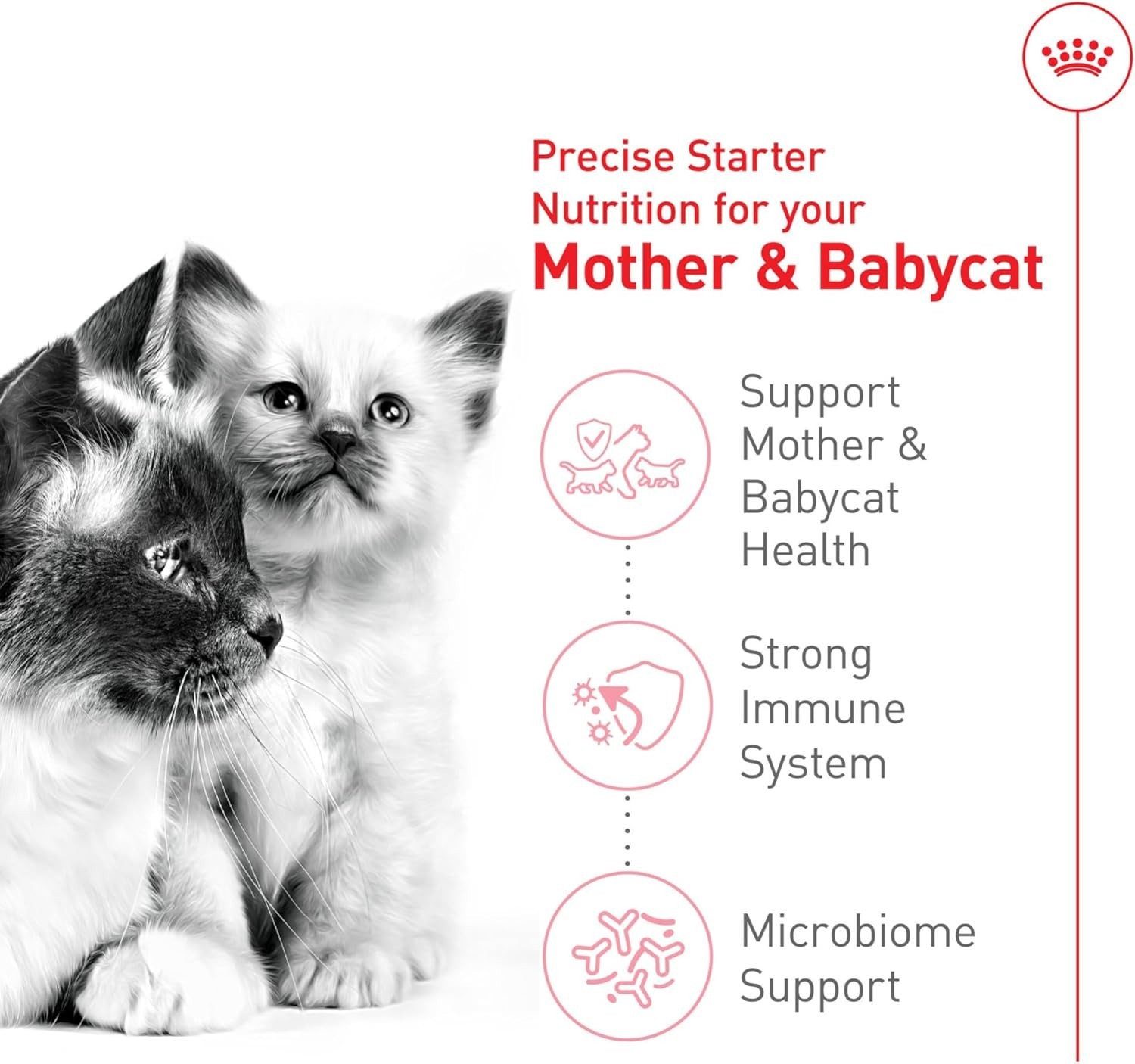 Royal Canin Feline Health Nutrition Mother & Babycat Queen Dry Cat Food, 6 lbs.