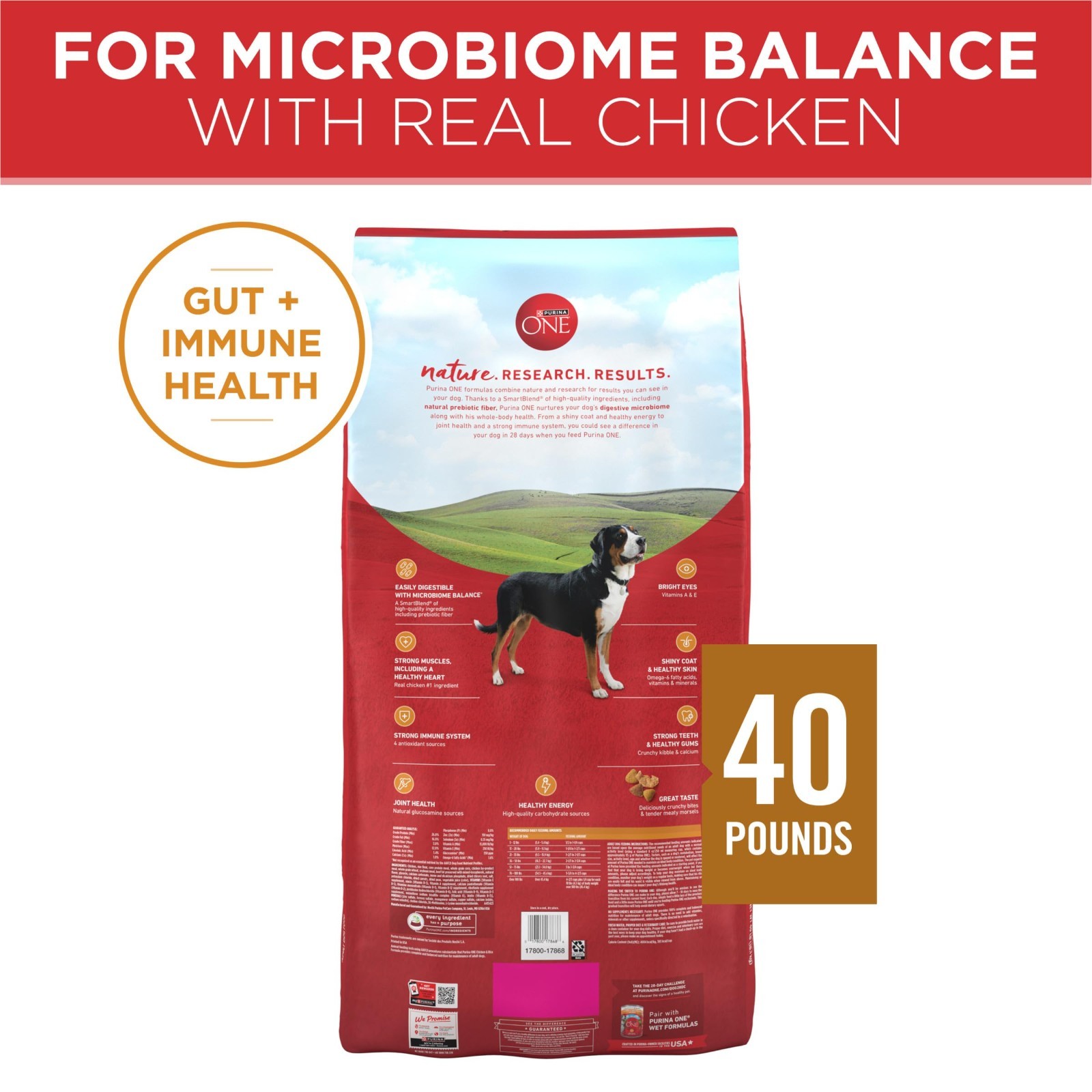 Purina ONE Chicken and Rice Formula Dry Dog Food – 40 lb. Bag