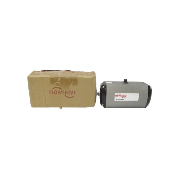 FLOWSERVE B100D B100DDAACT/BUNA 150PSI NSMP