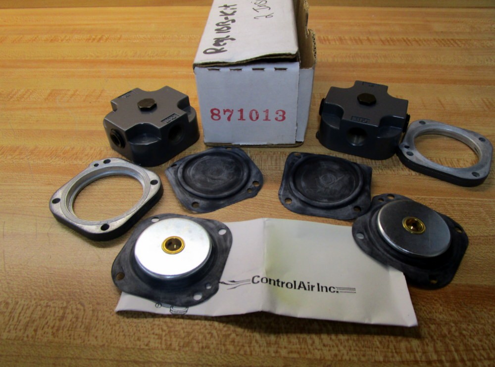 ControlAir 871013 Type-100 Regulator Repair Kit (Pack of 2)