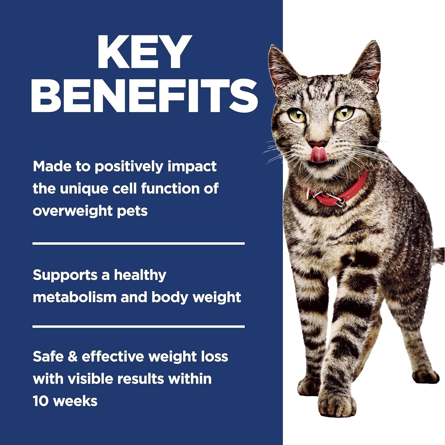 Hill’s Science Diet Adult Perfect Weight Dry Cat Food, Chicken, 15 lb. Bag