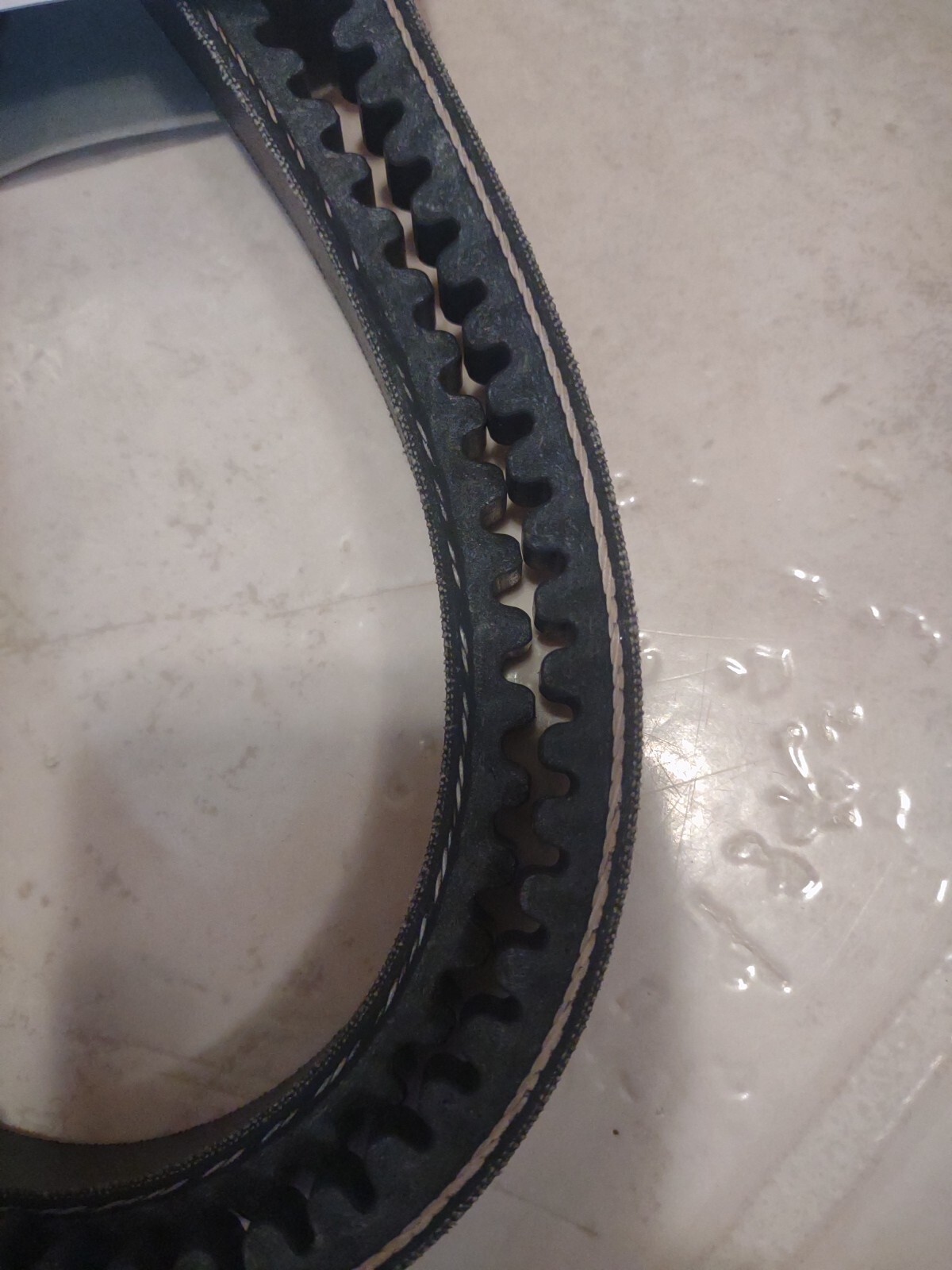 Dayton 6L289G Cogged V-Belt 1 Rib BX83
