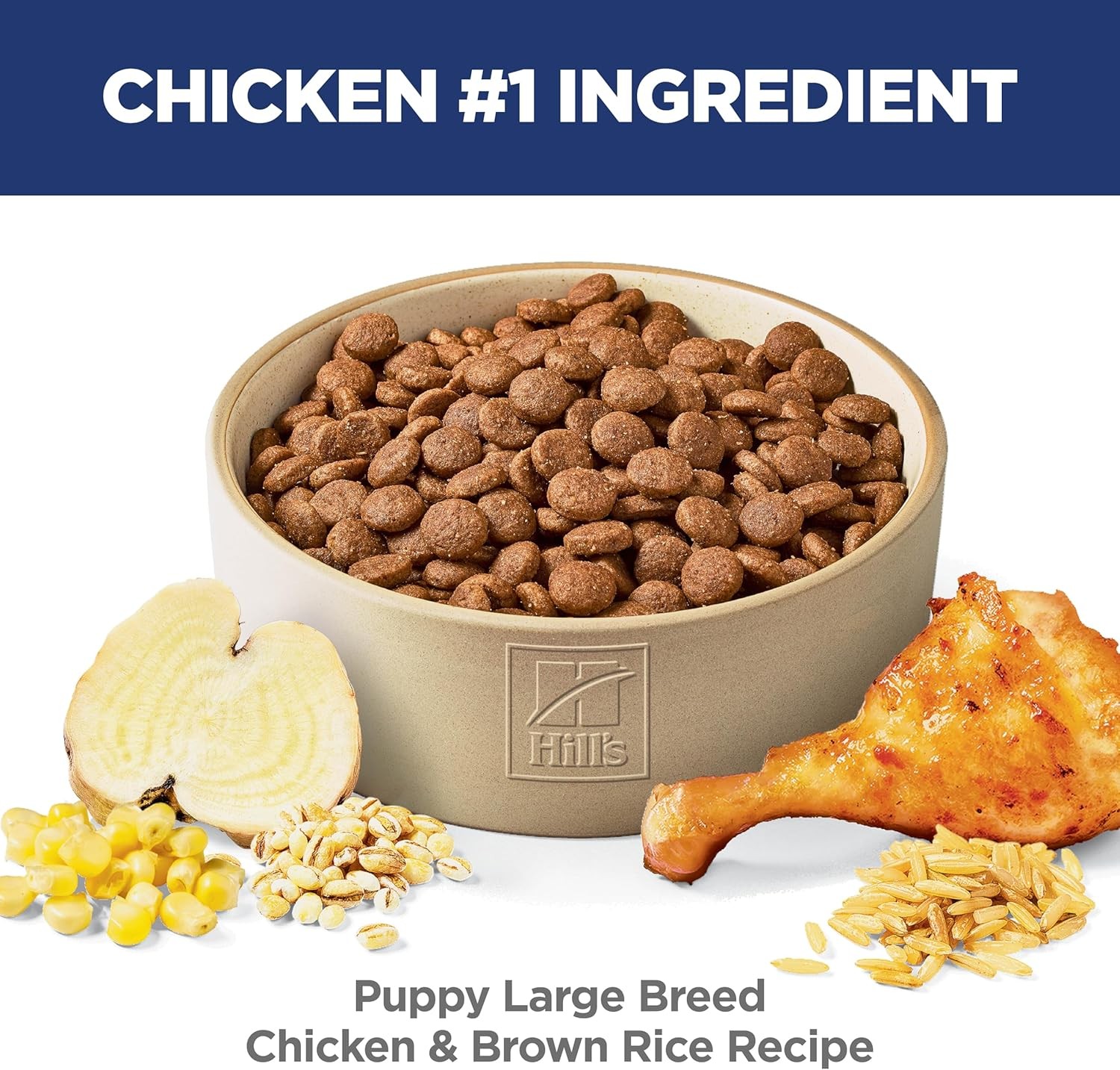 Science Diet Chicken & Brown Rice Recipe Large Breed Dry Puppy Food, 27.5lb