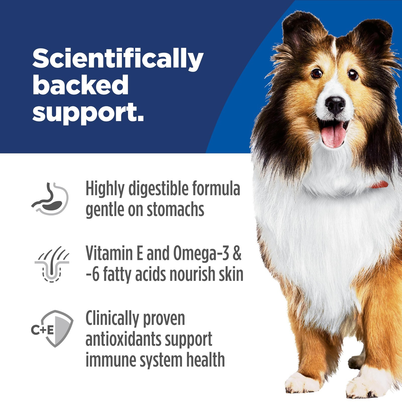 Hill’s Science Diet Sensitive Stomach & Skin, Adult 1-6, Chicken Recipe, 30 lb
