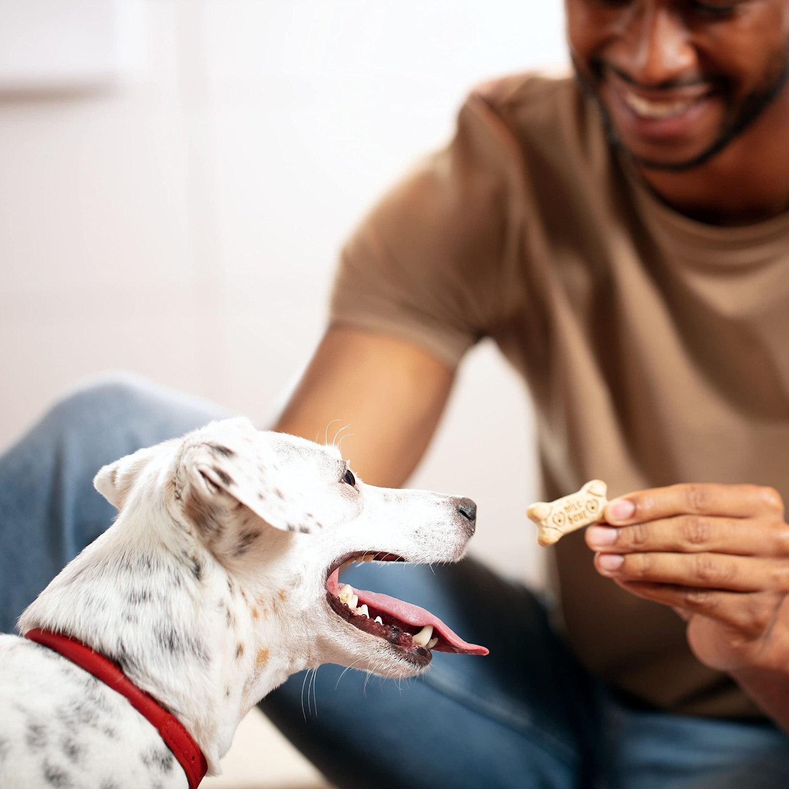 Milk-Bone Original Dog Treats Biscuits for Medium Dogs, 10 Pound, 4 Pack