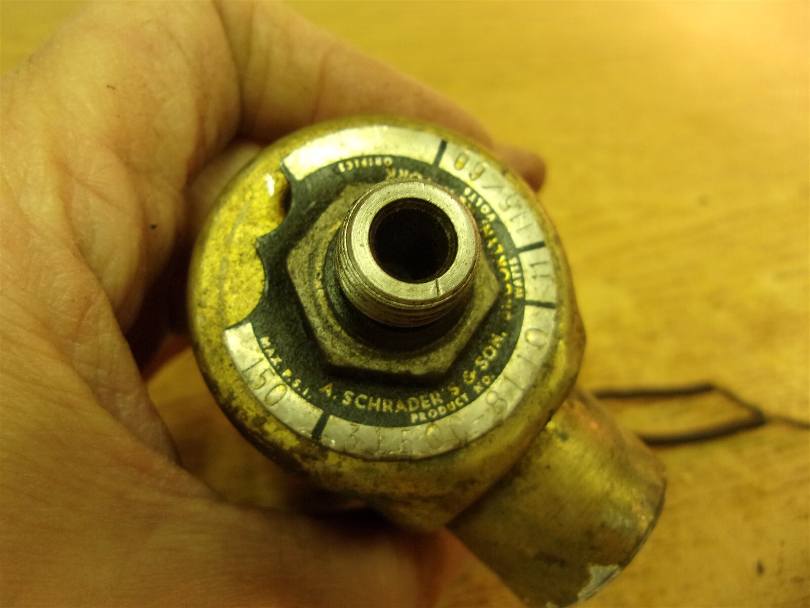Schrader 31500-8110 Solenoid Assembly *FREE SHIPPING*