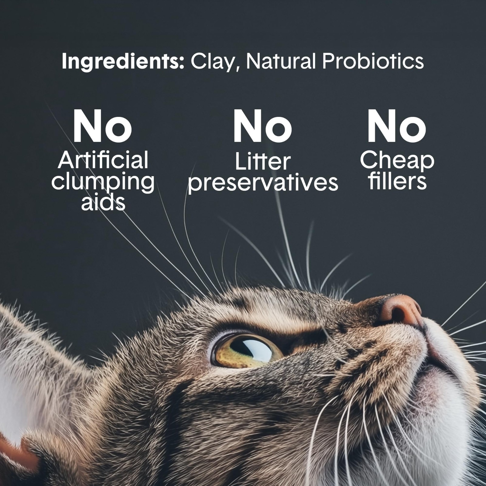 Boxie Probiotic Cat Litter, 30 Day Odor Control, Clumping Clay Kitty, 28lb,2PACK