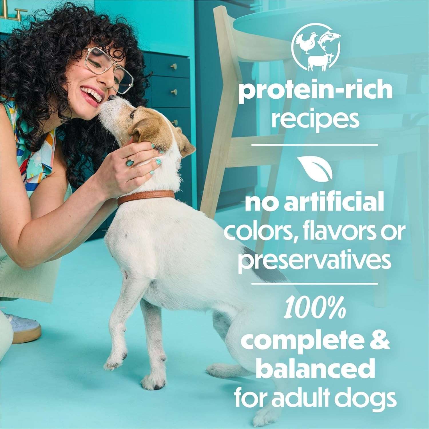 Purina Beneful IncrediBites Small Breed Wet Dog Food Variety Pack 30x3oz Cans
