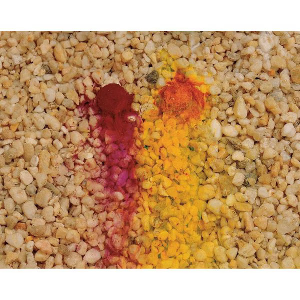 Bright Dyes 106053-01P Dye Tracer Liquid, Red, 1 Pint