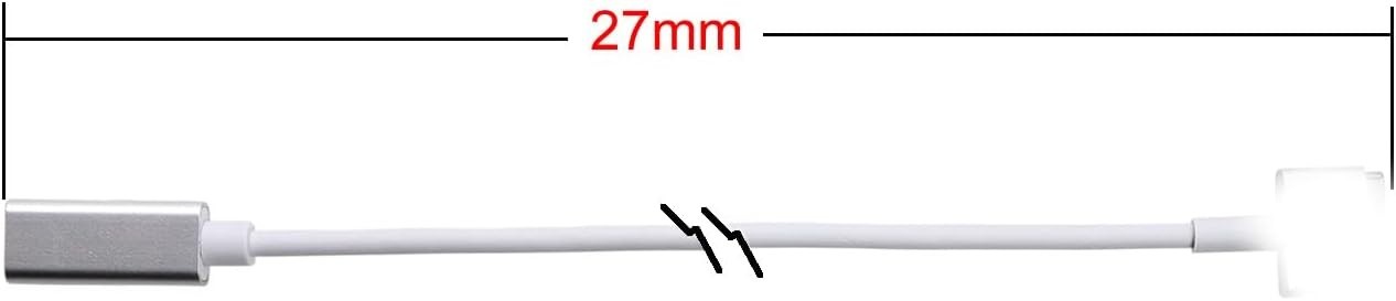 Charge Converter 85W Output, USB C Female to Magnetic 2 T Tip Charging Cable …