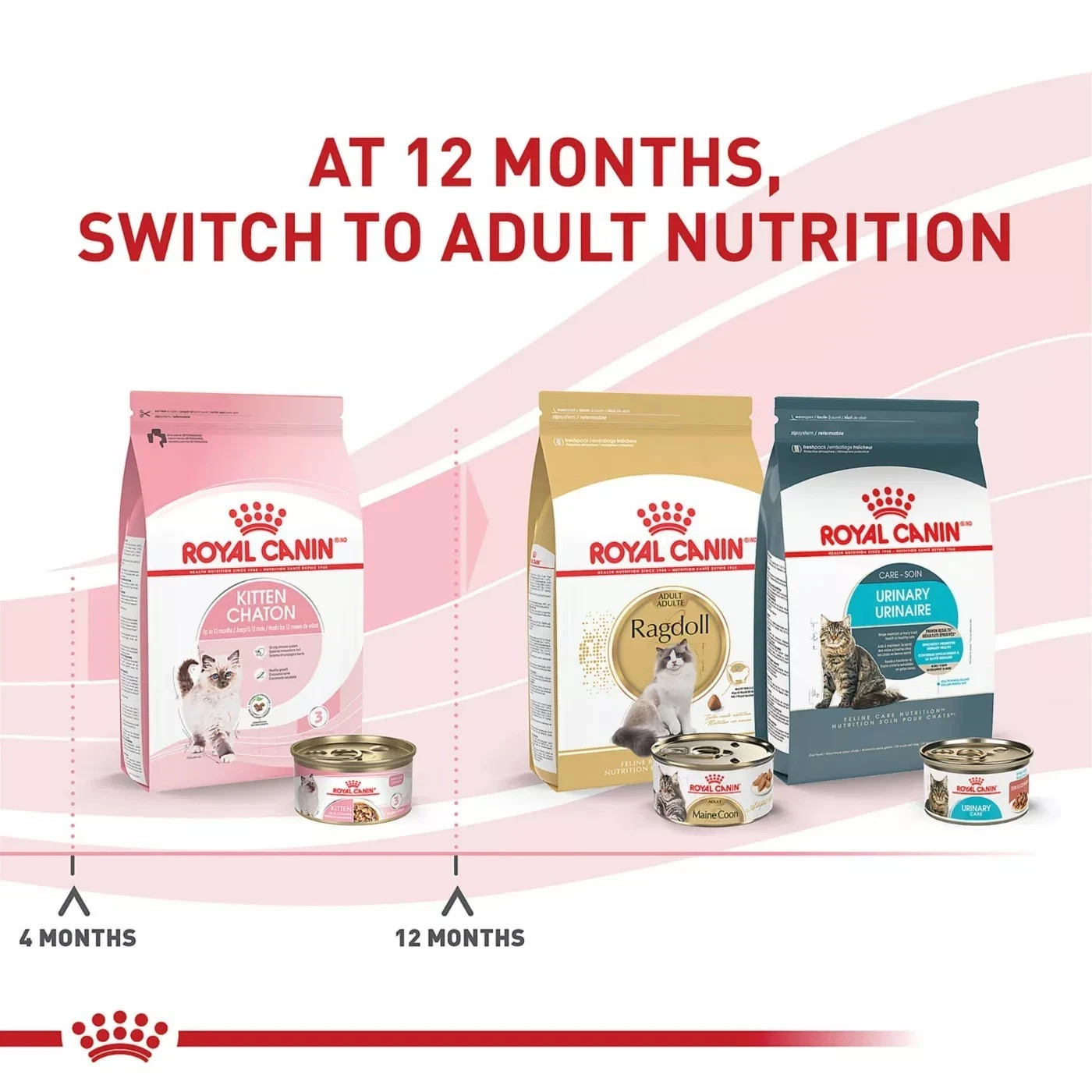 Royal Canin Health Nutrition Kitten Thin Slices in Gravy Wet Cat Food -3oz, 24CT