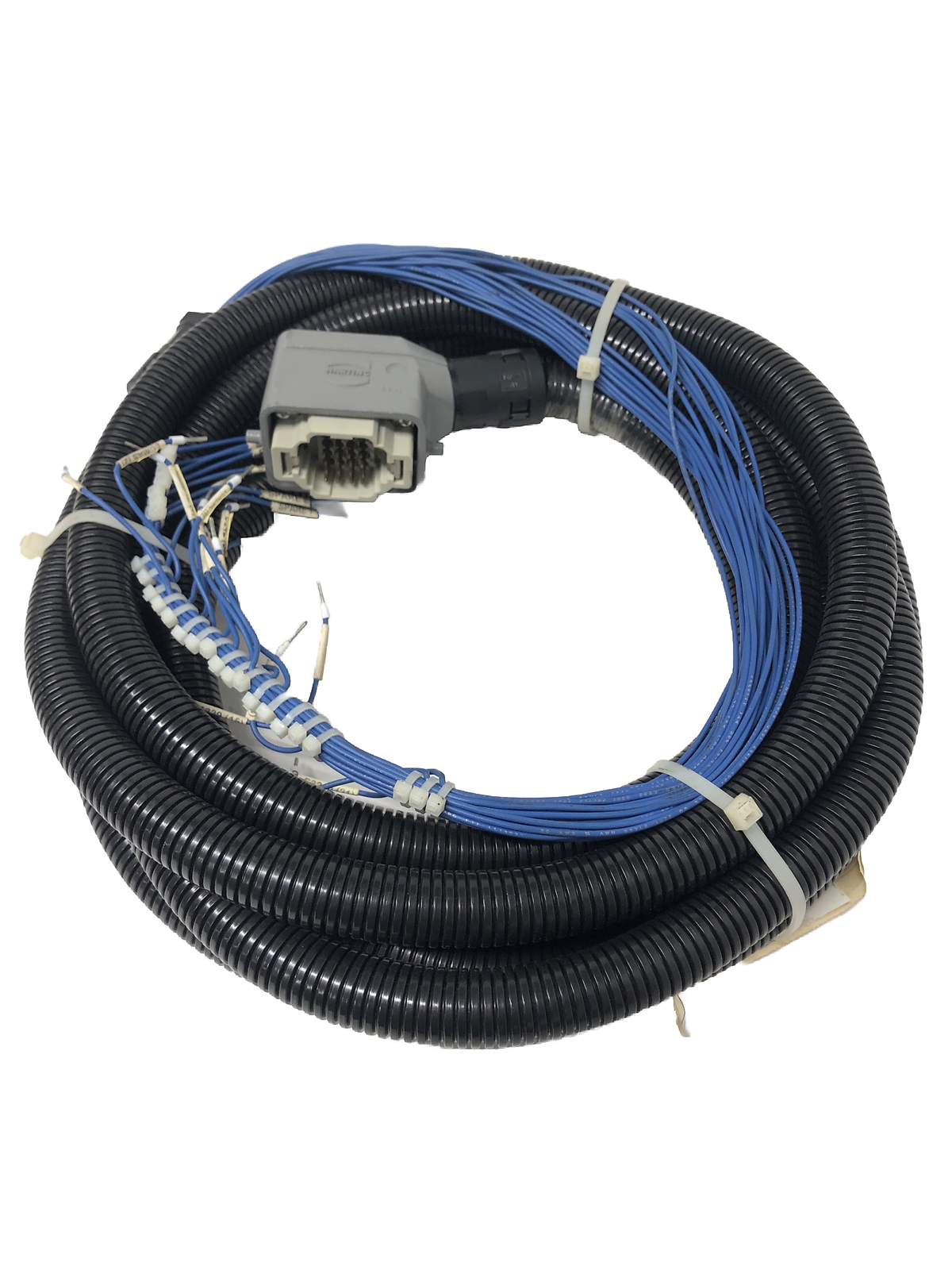 E33M101AB201 Cable Assembly, MTC Rear Side-Conveyor JB; XMP203A