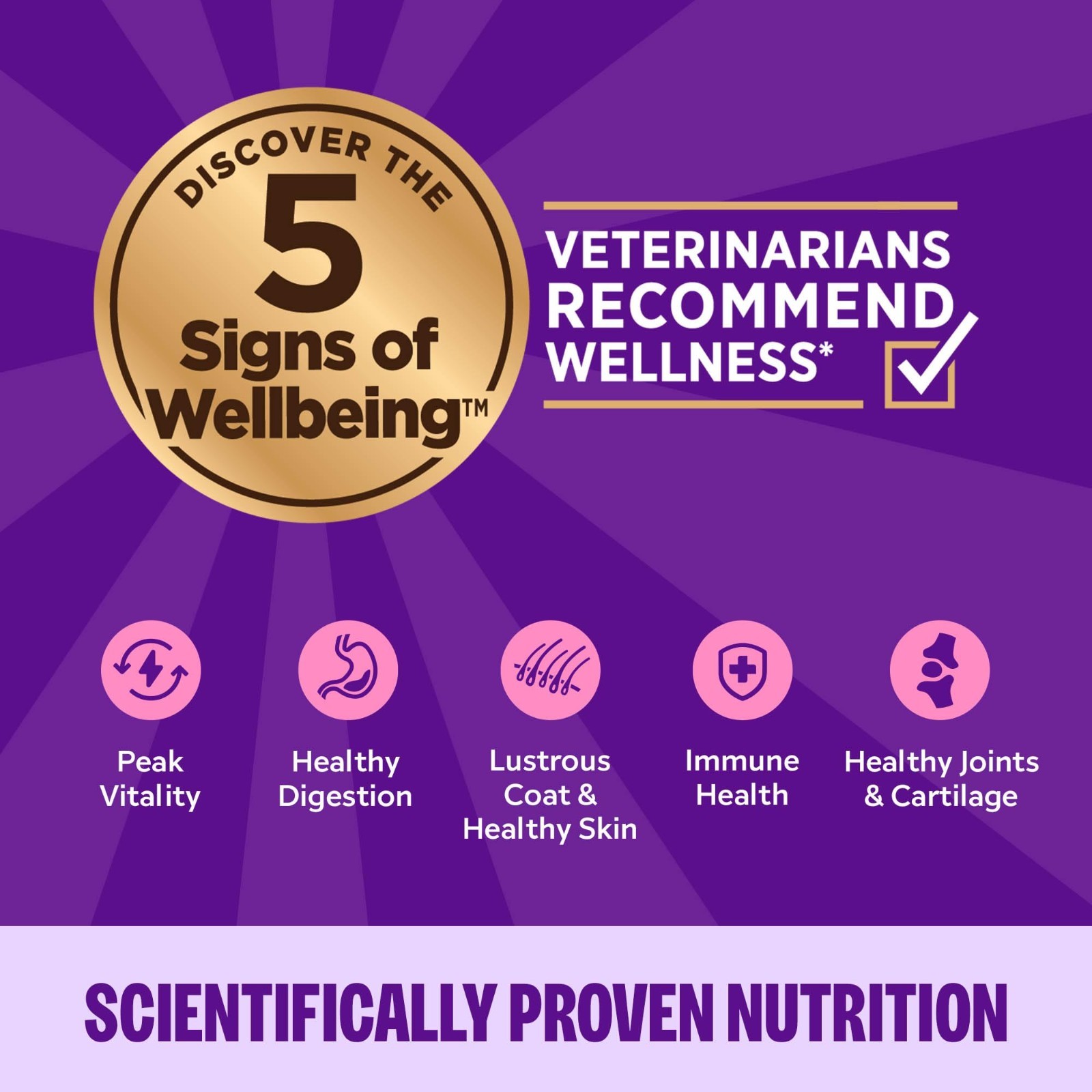 Wellness Complete Health Pate Kitten Wet Cat Food, Chicken, 3 oz – 48 ct
