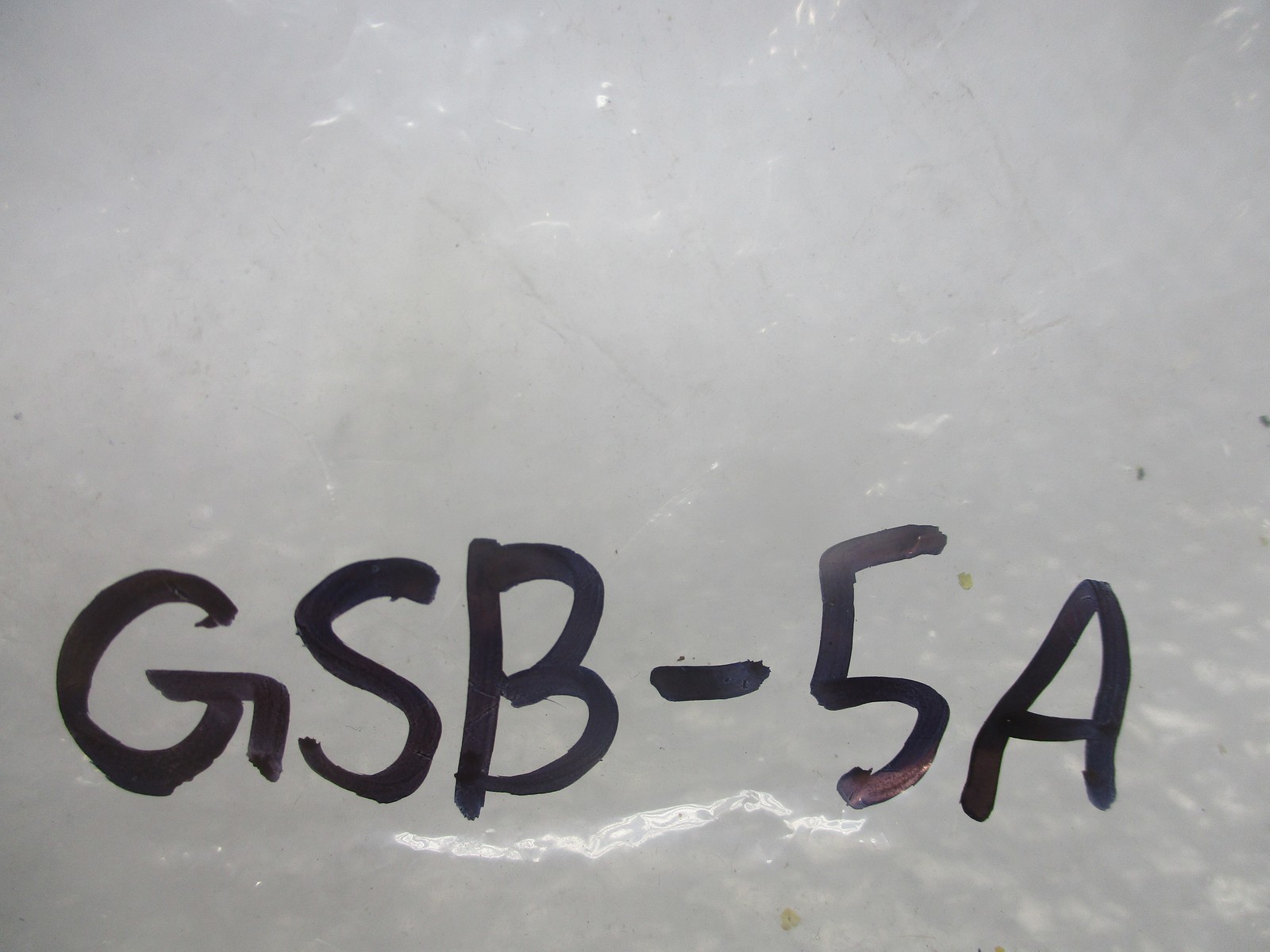 ENGLISH ELECTRIC GSB-5A FUSE LOT OF 14 NSNP