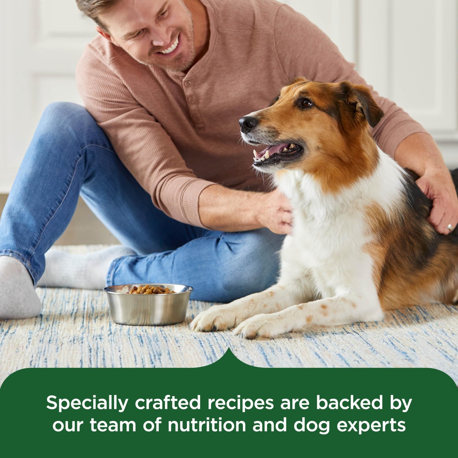Nutrish Real Chicken & Veggies Recipe Whole Health Blend Dry Dog Food, 40 lb. Ba