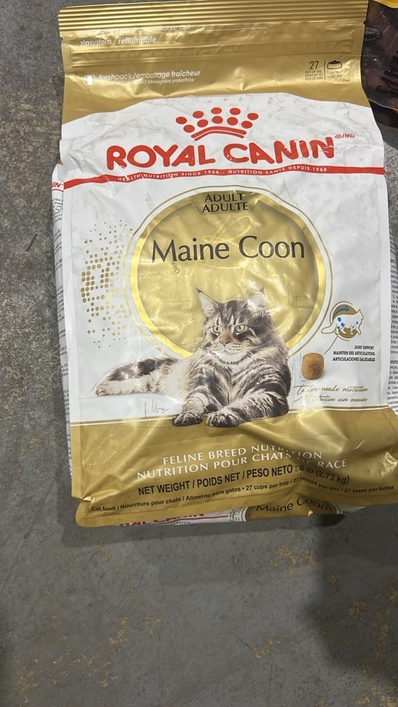 Royal Canin Feline Breed Nutrition Maine Coon Adult Dry Cat Food, 6 lb Bag